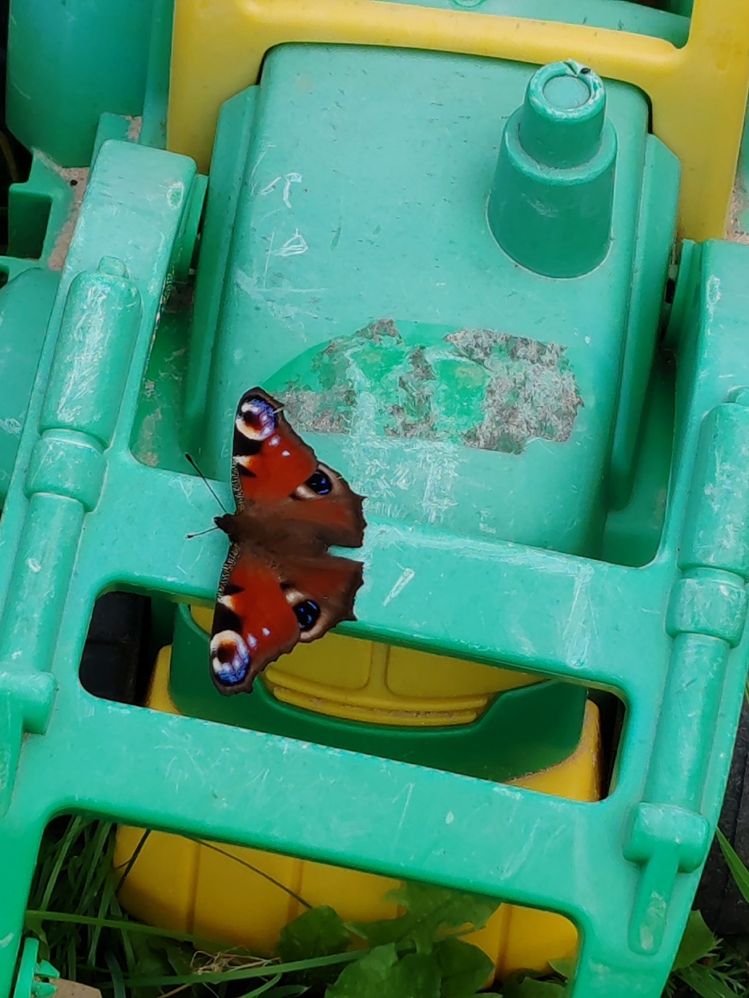 A peacock butterfly with orange wings and blue eyespots rests on a green plastic toy. The toy appears to be a part of a larger structure, possibly a sandbox or play equipment, with yellow accents visible beneath the green components. The butterfly is positioned in the center of the frame, with its wings slightly open. The background consists of green grass and hints of more of the yellow and green plastic toy. The scene is outdoors, likely in a residential area or park, given the presence of a toy and grass. The image quality is fair, with some noise visible. The location is specified as Чухлэм, Russia.