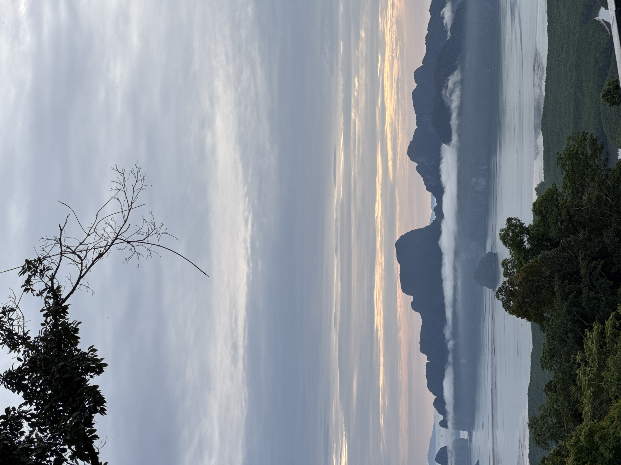 The image captures a serene, misty morning landscape from a high vantage point in Ban Hin Rom, Thailand. In the foreground, dark green foliage, including branches and leaves of trees, frames the upper left and lower portions of the scene. A thin, bare branch extends from the upper left, reaching into the cloudy sky. The sky itself is overcast with soft, horizontal layers of clouds in shades of grey and pale blue, with hints of a gentle pinkish-orange glow near the horizon, suggesting either sunrise or sunset.
The midground features a breathtaking vista of limestone karst islands emerging from a calm body of water. These islands, with their distinctive, steep slopes, are partially shrouded in a soft layer of white mist that hugs their bases, creating a dreamlike, ethereal effect. The water appears placid, reflecting the muted tones of the sky and islands. In the distance, more islands are visible, fading into the atmospheric haze.
The foreground bottom is dominated by dense, dark green vegetation, likely part of a forest covering the hillside from which the photo is taken. The overall impression is one of tranquility and natural beauty, with the mist adding a sense of mystery to the dramatic island formations. There are no people or animals visible in the image.