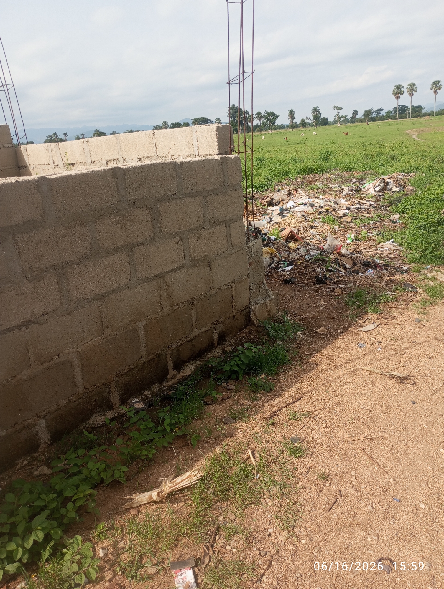 The image depicts an outdoor scene in a rural or semi-rural area, identified as Dokan Tofa, Nigeria. In the foreground, a partially constructed building made of concrete blocks is visible on the left. Adjacent to the building, a pile of discarded refuse, including plastic bags, paper, and other debris, is present. The ground is a mixture of dry soil and sparse vegetation.
Further into the background, a green grassy field stretches out, dotted with scattered trees, including palm trees. Several livestock animals, appearing to be cows, are grazing in the field. The sky above is partly cloudy, with a hazy atmosphere. The timestamp "06/16/2026 15:59" is visible in the lower right corner of the image. The overall impression is one of ongoing construction in an area with environmental challenges related to waste disposal, set against a backdrop of natural landscape.