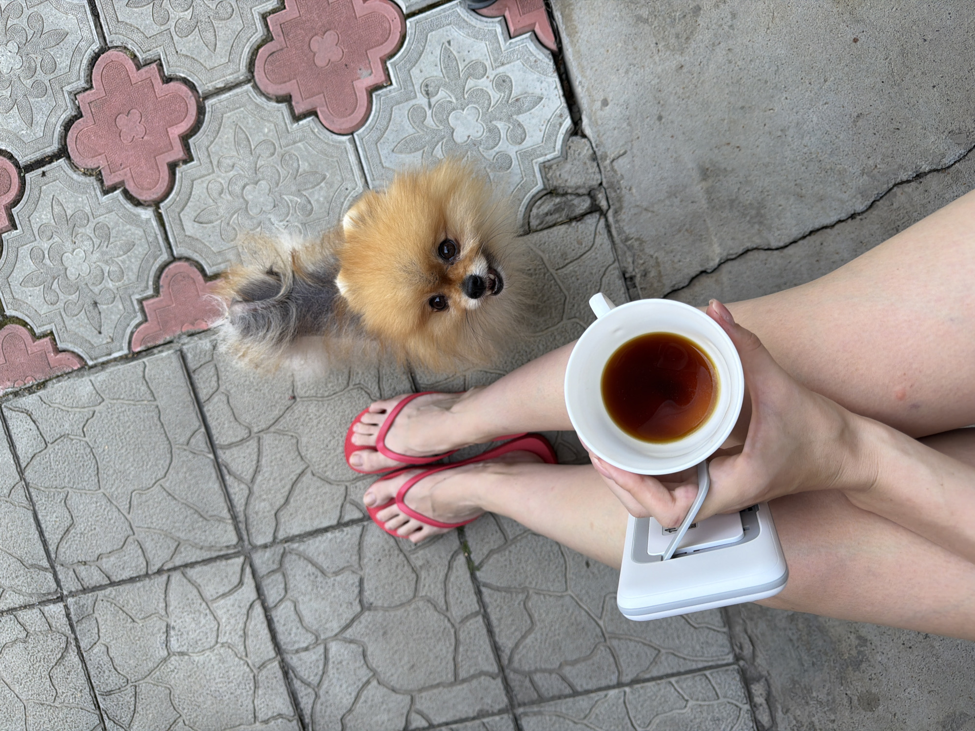 An overhead, high-angle shot shows a person's legs, a Pomeranian dog, and a cup of tea. The person's legs are bare from the knees down, and they are wearing bright pink flip-flops. Their right hand is holding a white ceramic mug filled with dark liquid, possibly tea or coffee. The mug is resting on a white electronic device. The Pomeranian dog, a small breed with fluffy orange-brown fur, is looking up at the camera with its mouth slightly open. Both the person and the dog are positioned on a paved outdoor surface. The paving stones are a mix of grey concrete with a cracked pattern and lighter grey stones with decorative pink accents. The scene appears to be an outdoor patio or walkway. The location is identified as the city of Miasskoye, Russia.