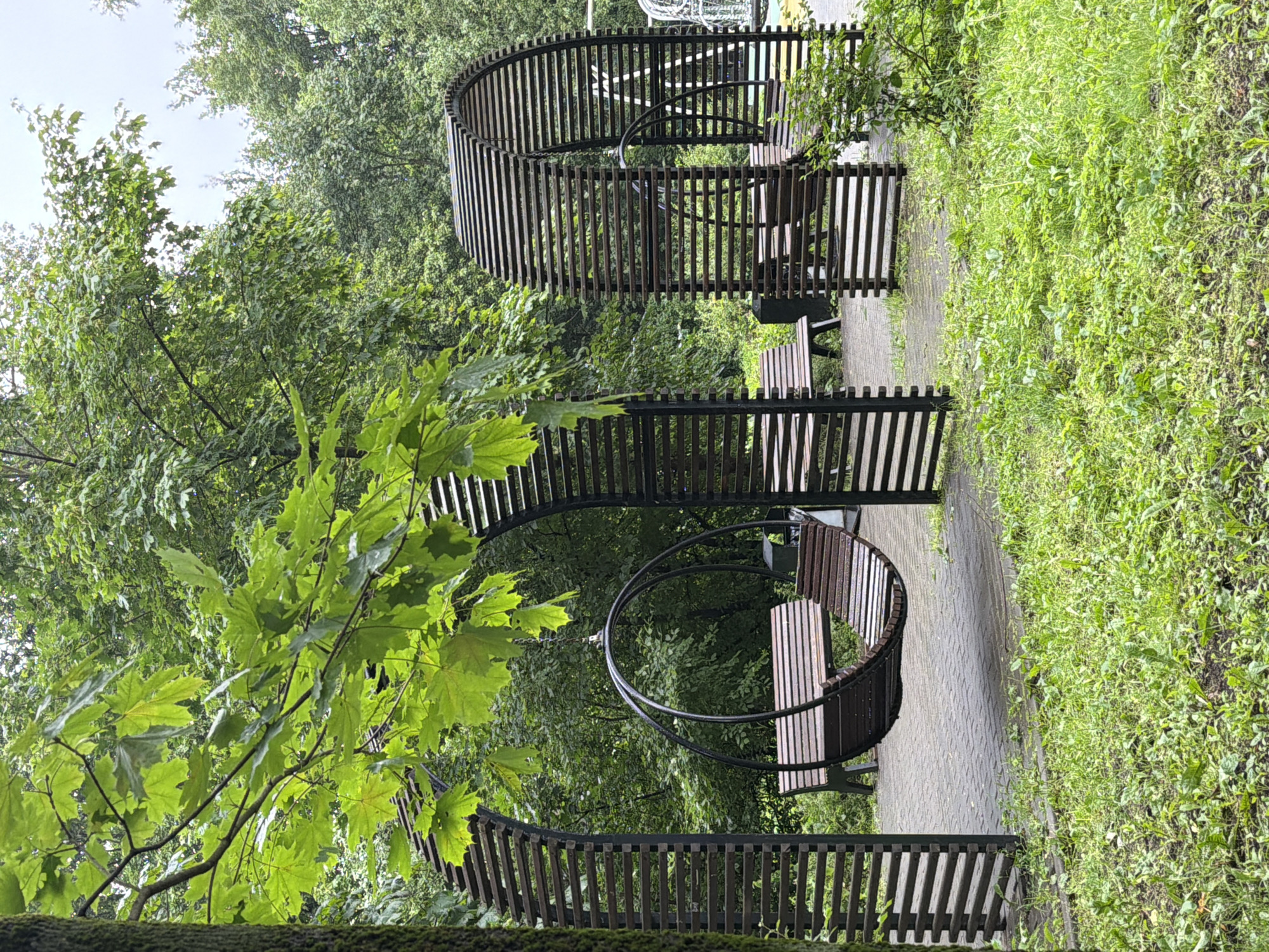 The image depicts a tranquil park scene in Saint Petersburg, Russia, characterized by lush green foliage and contemporary outdoor seating. The foreground features a patch of overgrown grass with a few scattered leaves, indicative of a naturalistic park setting. Dominating the mid-ground are two striking, arched wooden structures, each housing a unique circular bench swing. The swing on the left is suspended within its arch, its wooden slats forming a comfortable seating area. Behind it, a simple wooden bench is visible. The second arch, further to the right, also contains a similar bench swing, though it is less prominently featured. Both structures are constructed with horizontal wooden slats forming a semi-circular enclosure. The background is a dense wall of green trees, suggesting a shaded and secluded area within the park. The paving stones beneath the structures are laid in a uniform pattern. The overall atmosphere is one of peacefulness and modern design integrated into a natural environment.