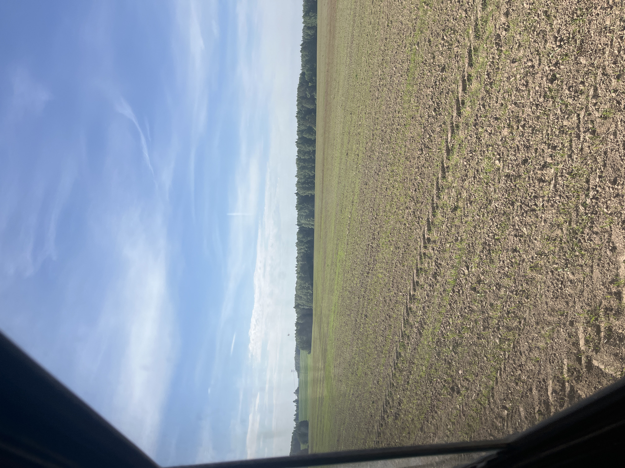The image depicts a field, possibly agricultural, viewed from within a vehicle through a window. The field is primarily brown with nascent green growth. A line of trees separates the field from the blue sky with wispy clouds. The sky is partially visible through the vehicle window. The location is undetermined.