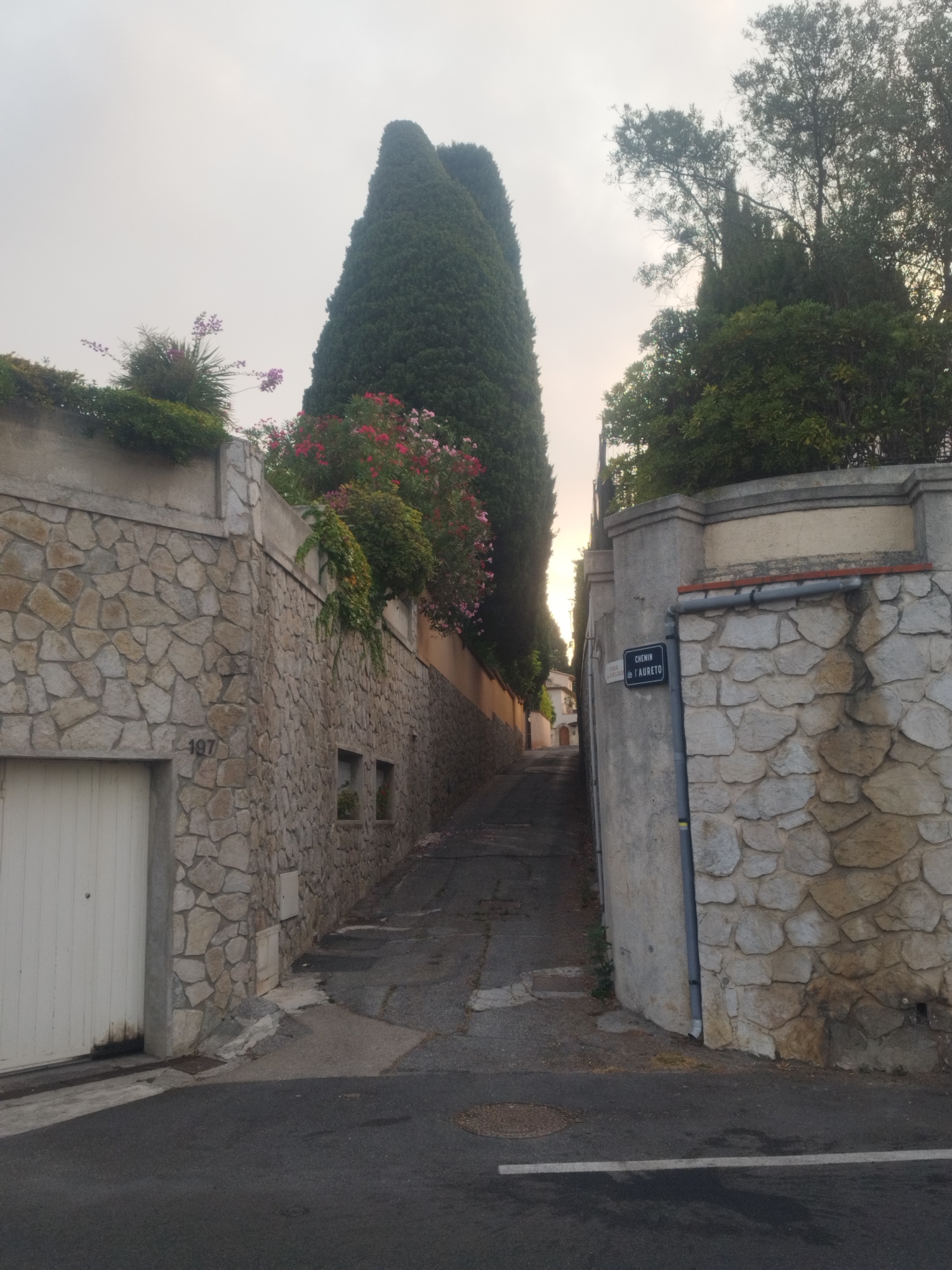 This image depicts a narrow, sloping street in Antibes, France, lined with stone walls and lush vegetation. On the left, a tall, white garage door is set into a rough-hewn stone wall. The number "197" is visible on this wall. Further up the street, another stone wall with two small, rectangular windows is seen.
On the right side of the street, a prominent stone wall features a blue street sign that reads "CHEMIN de l'AURETO". This wall is topped by a light-colored decorative ledge. Tall, conical cypress trees dominate the background, interspersed with other trees and flowering bushes with pink and red blooms. The sky is overcast and pale. The road surface is asphalt, showing signs of wear and some patchy repairs. The overall impression is of a quiet, residential street with a Mediterranean feel.