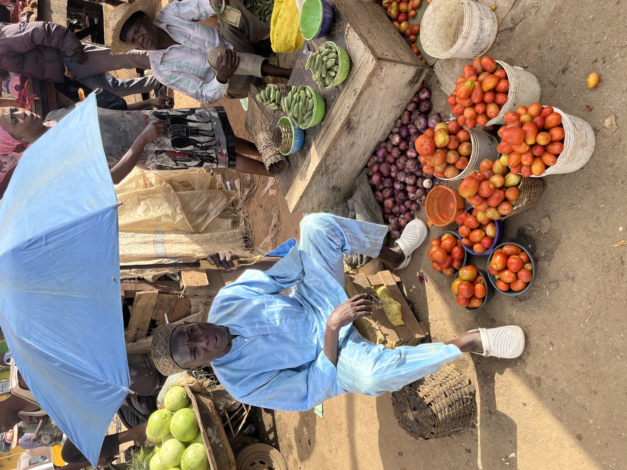 This is a vertical, eye-level, medium shot of a busy outdoor market scene in Rafin Par, Nigeria. The image is dominated by a man in a light blue traditional outfit sitting on a wooden crate in the foreground, partially obscured by a large, light blue umbrella. He is looking towards the camera with a neutral expression. Behind him, another man wearing a straw hat and a light-colored patterned shirt is visible, holding what appear to be banknotes. A woman in a patterned skirt and headscarf is also present, holding an umbrella.
The market is filled with various produce, primarily tomatoes and okra, displayed in buckets and baskets. Bunches of red onions are also visible, piled on the ground. The ground is dusty, suggesting a dry environment. In the background, there are more market stalls and people, creating a sense of bustling activity. The sunlight appears to be bright, casting shadows on the ground, indicating it is likely midday. The overall atmosphere is one of commerce and daily life in a Nigerian market. No visible text is present in the image.