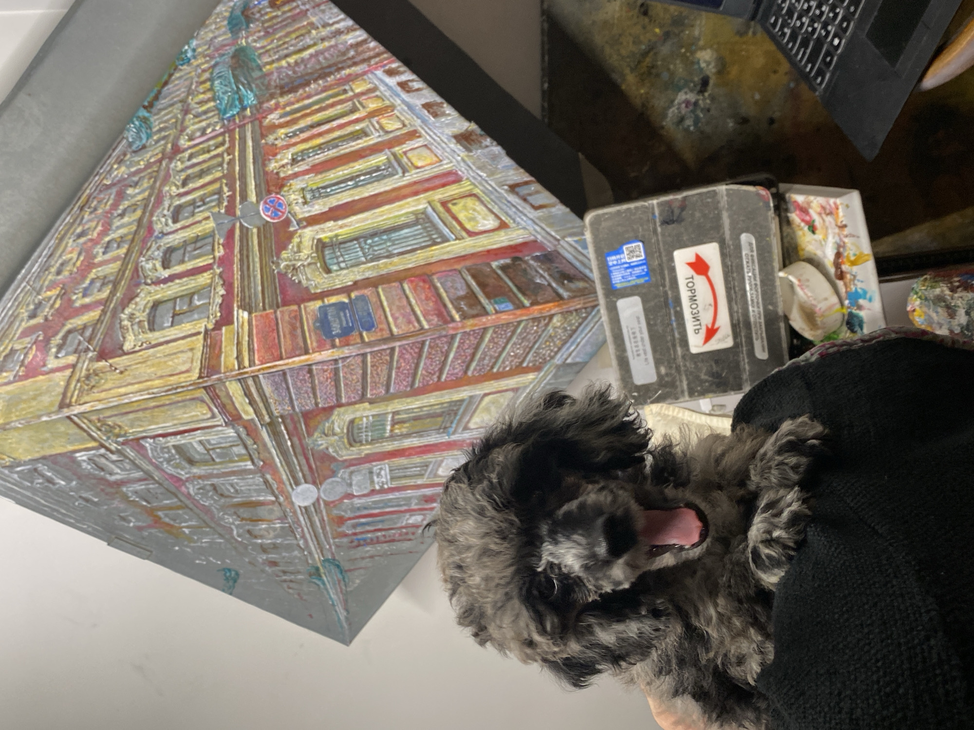 In Saint Petersburg, Russia, a close-up shot captures a small, dark-colored poodle being held by an unseen person, its mouth wide open in a yawn. The poodle's fur is a mix of black and gray, with a fluffy texture. Behind the dog, a large, three-dimensional artwork depicts a detailed facade of a building with multiple windows and balconies, rendered in warm tones of red, yellow, and orange, with accents of white and gray. This artwork is angled, suggesting it is a diorama or a multifaceted painting. To the right of the artwork, a gray plastic case with labels is visible, and beneath it, a palette with colorful paints is set on a surface. Further to the right, a portion of a black laptop keyboard is visible. The background is a plain, light-colored wall.