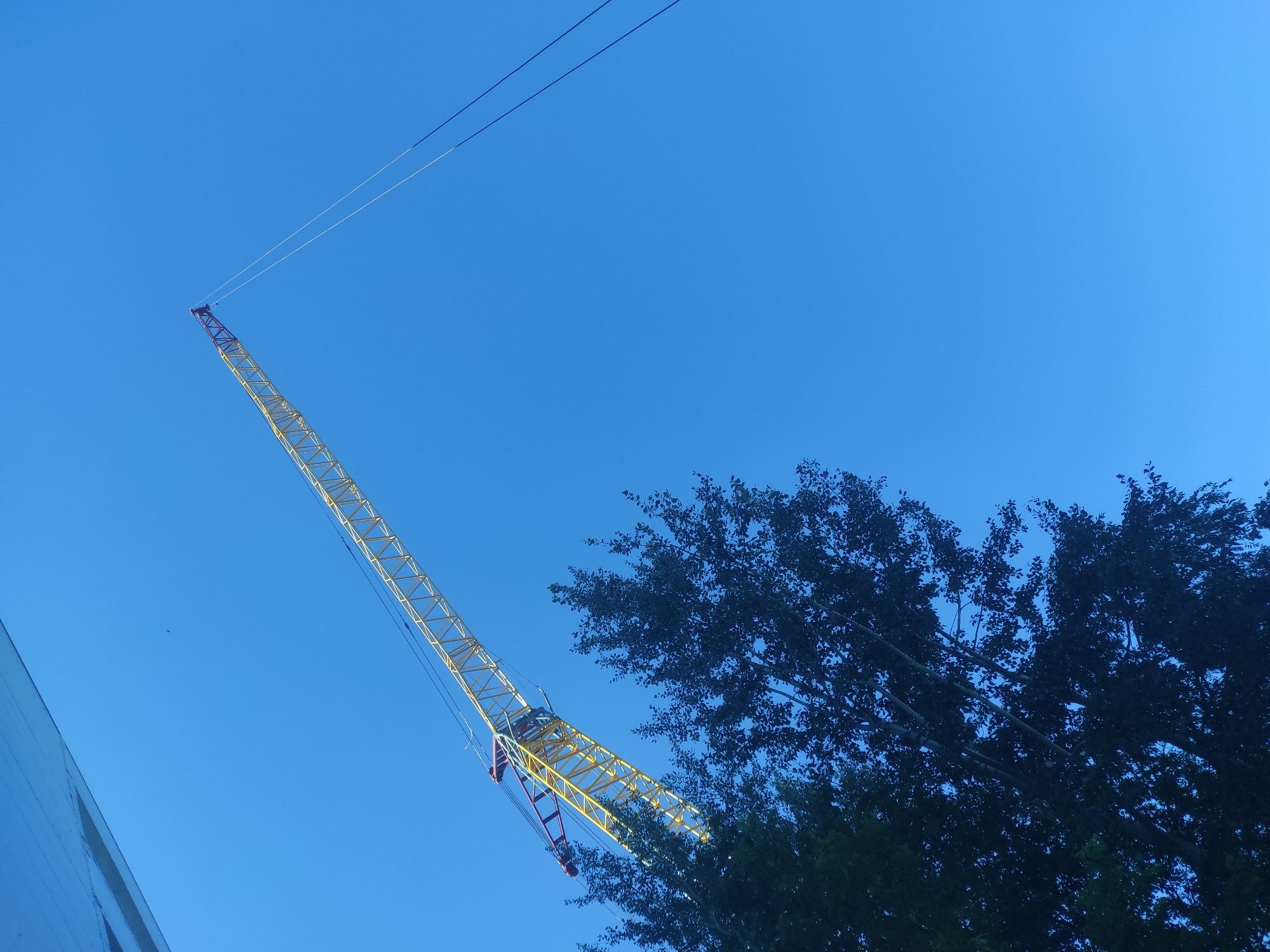 In Kyzyl, Kazakhstan, a yellow and red tower crane extends diagonally across a clear blue sky. The crane's boom is angled upwards, with thin cables extending from its tip into the distance. In the foreground, the dark silhouettes of lush green trees partially obscure the lower portion of the crane and the sky. The composition suggests a construction site or an area undergoing development, with the crane dominating the skyline against the backdrop of a bright, cloudless day.