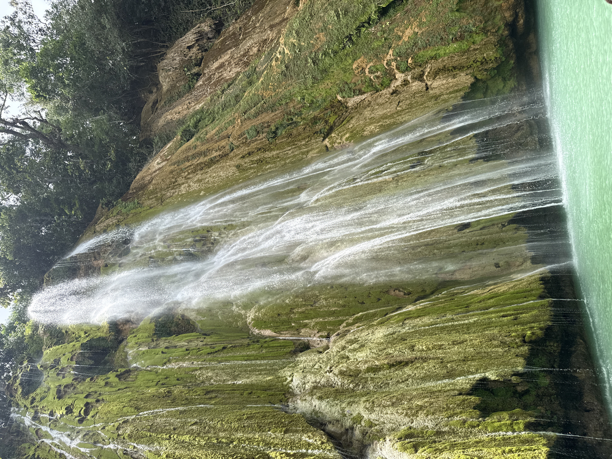 The image shows a cascading waterfall in El Limón, Samaná, Dominican Republic. The waterfall flows down a steep, moss-covered cliff face into a vibrant turquoise pool of water at its base. The cliff is a mix of earthy brown rock and lush green moss, with water trickling and streaming down its surface. Dense green foliage and trees are visible at the top of the cliff and on the surrounding hillsides, suggesting a tropical environment. The water in the pool is clear and reflects the light, creating a shimmering effect. The scene captures the raw beauty of a natural landscape.