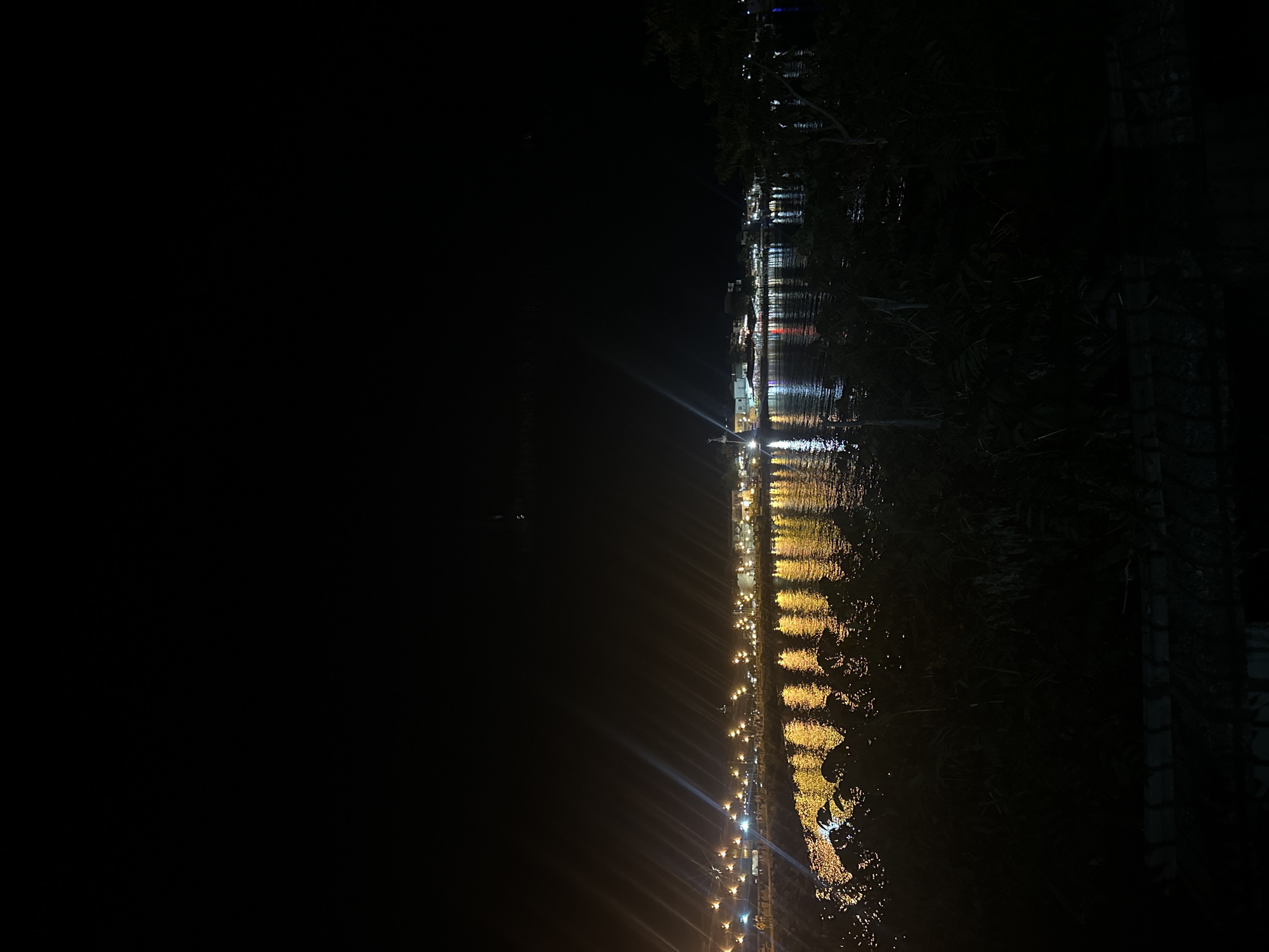 The image captures a nighttime scene along the Nesebar, Bulgaria waterfront. The dark sky is illuminated by a series of bright lights lining the shore, casting long, streaking reflections on the calm water. These lights appear to originate from buildings and streetlights, creating a warm, golden glow that contrasts with the deep blackness of the night. In the foreground, dense foliage and a low wall are silhouetted against the illuminated water, adding depth to the composition. The overall impression is one of a quiet, peaceful evening by the sea.
