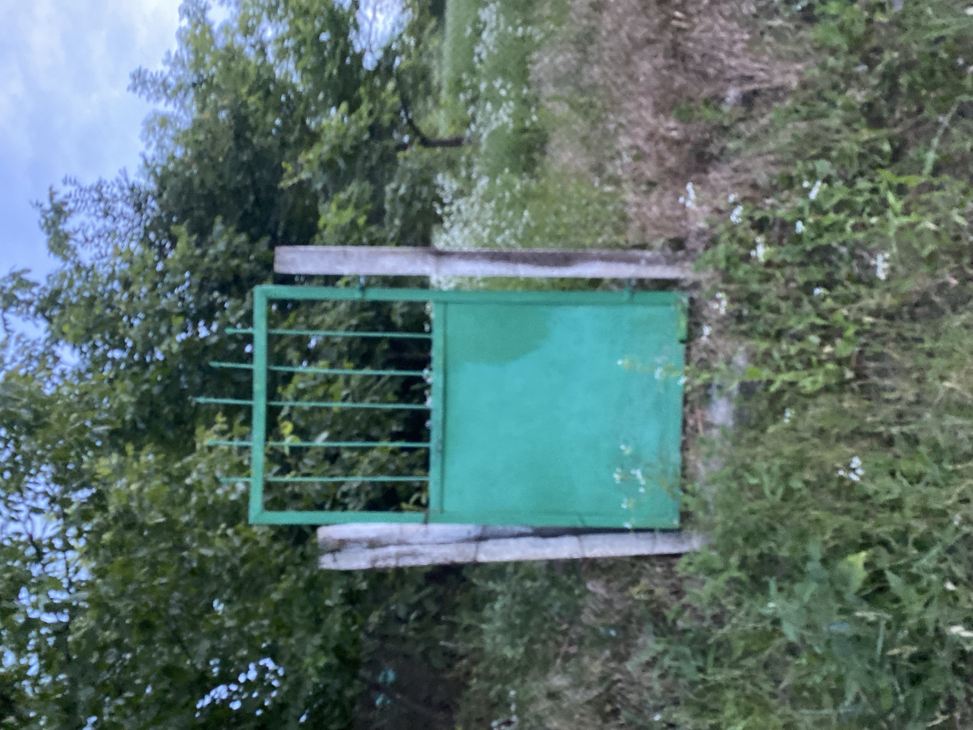The image shows a green metal gate with vertical bars and a solid lower panel, supported by two concrete posts. The gate is situated in a rural or semi-rural environment, with overgrown grass and small white flowers in the foreground. Behind the gate, there is dense green foliage, likely trees and bushes. The sky is visible in the upper portion of the image, appearing overcast or cloudy. The overall scene suggests an outdoor setting, possibly on the edge of a property or an entrance to a field or wooded area. There are no people or animals visible in the image. The context of Horodca, Moldova, suggests this is a scene within that locality.