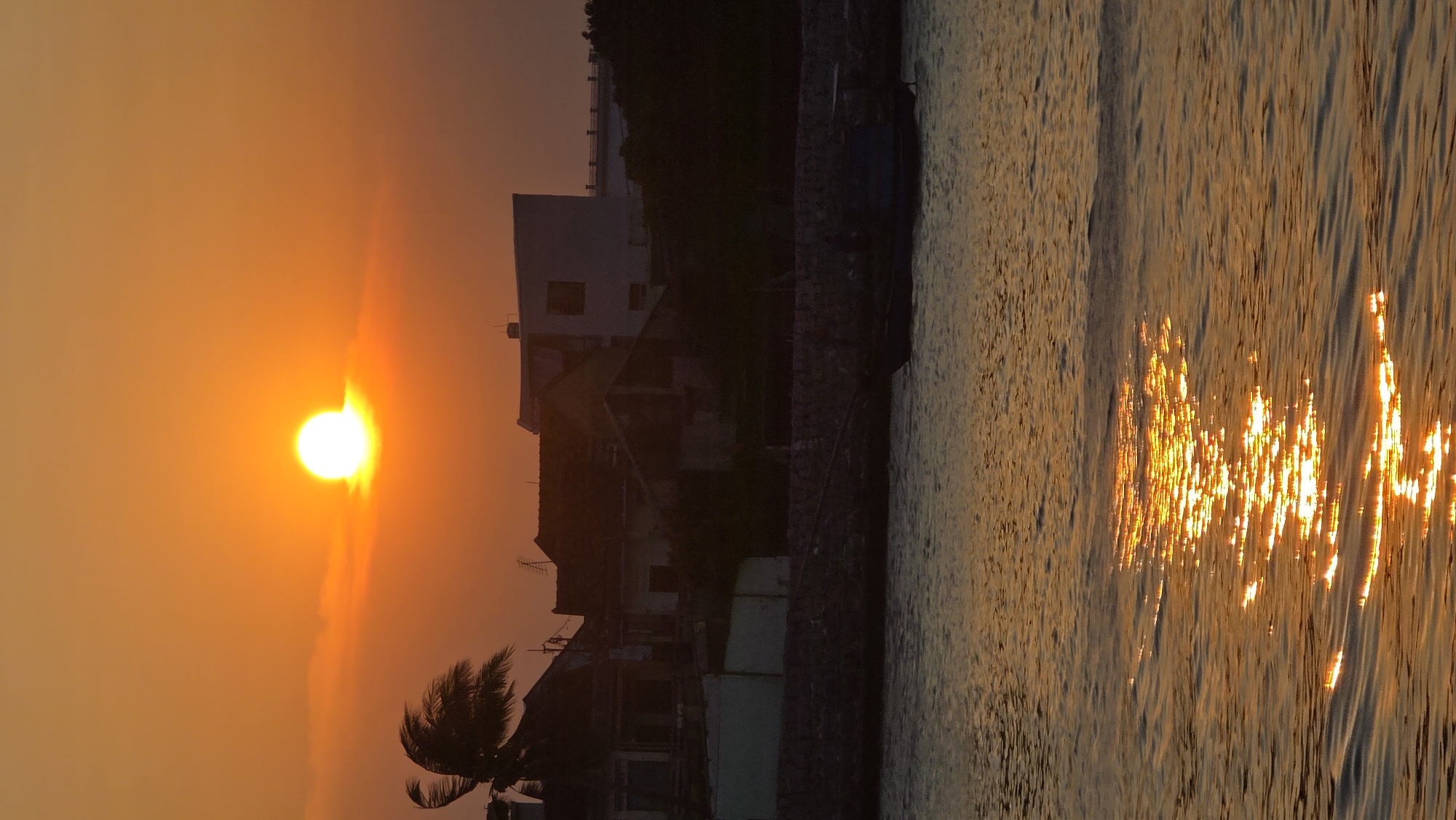The image captures a sunset over water, likely a bay or river, in Nha Trang, Vietnam. A bright, orange sun is positioned low in the sky, with its light reflecting intensely on the water's surface. In the background, a silhouette of buildings and trees can be seen. The water has a rippled texture, and the reflected sunlight appears as a shimmering, golden path. A palm tree is partially visible at the bottom left of the frame, adding to the tropical setting.