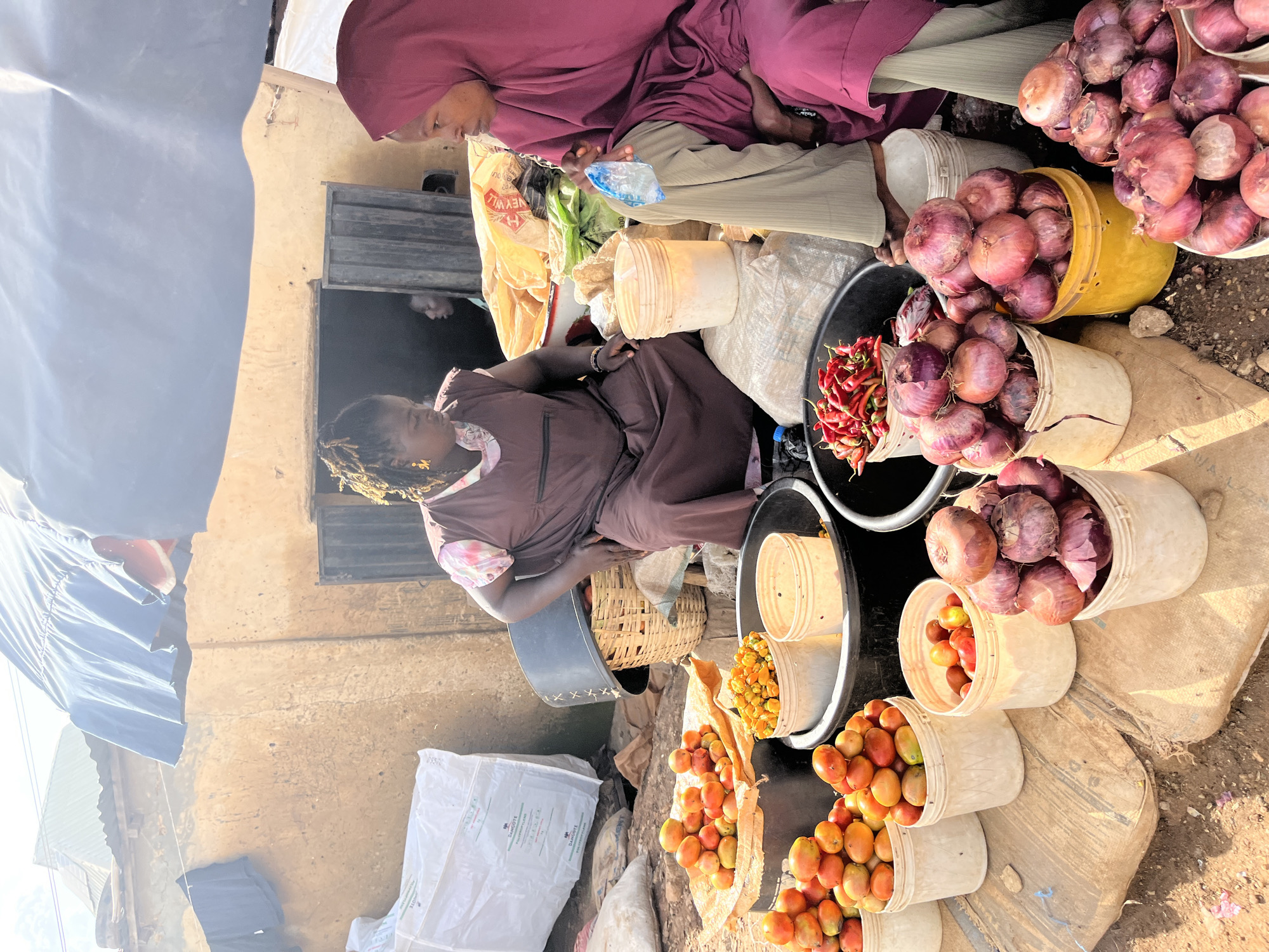 This image captures a vibrant market scene, likely in Jos, Nigeria. Three people are visible, two women in the foreground and another person partially obscured in the background. One woman, wearing a maroon hijab and a light-colored garment, is seated. Another woman, dressed in a brown tunic with a patterned neckline, is also seated and appears to be attending to the goods. The background figure, mostly in shadow, seems to be inside a doorway.
The market is filled with various produce, primarily displayed in buckets and sacks. Prominent among the items are large quantities of red onions, piled high in yellow and cream-colored buckets. There are also buckets filled with red chili peppers and numerous tomatoes, some in burlap sacks and others in buckets. A woven basket is also visible. The overall impression is of a busy outdoor market with a focus on fresh produce.
The lighting suggests it is daytime, likely morning or afternoon, with bright sunlight casting shadows. The weather appears to be warm and dry, typical of a Nigerian climate. The setting is rustic, with dirt ground and a building with a rough-textured wall and a metal-framed doorway. One of the sacks has visible text that appears to read "DAKOTE," indicating a brand or product. The overall mood is one of commerce and daily life in a Nigerian market.