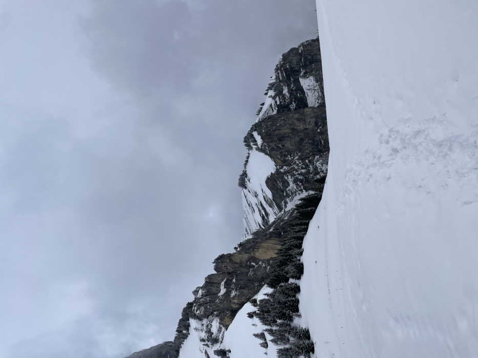 The image displays a snow-covered mountainous landscape in Passy, France, under a uniformly overcast, grey sky. The foreground is an expansive field of deep, white snow, traversed by a clear set of human footprints originating from the lower right and curving towards the center-midground. On the snowy slope to the left, a few small, dark, vertical marker stakes are visible. In the mid-ground, rugged mountains ascend, characterized by exposed, dark grey rock faces, significant snow accumulation, and clusters of snow-laden evergreen trees. The mountains continue into the background, partially obscured by the low-hanging clouds. No individuals are present in the scene.