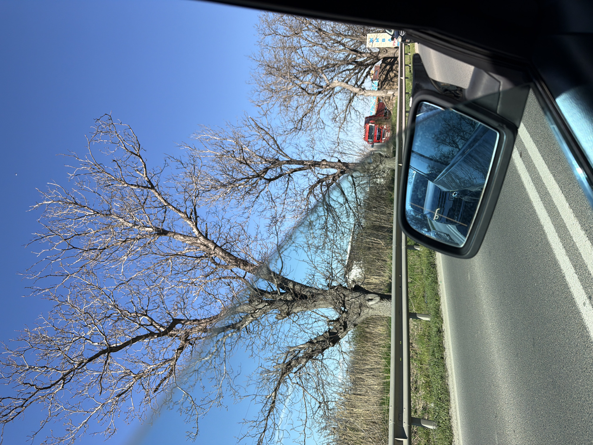 The image shows a view from inside a car, looking out of the passenger-side window. In the foreground, the car's side mirror is visible, reflecting the road and trees. Outside the window, there is a tree with bare branches against a clear blue sky. A red truck is visible in the distance. The scene appears to be on a road outside of the city of Plovdiv, Bulgaria.