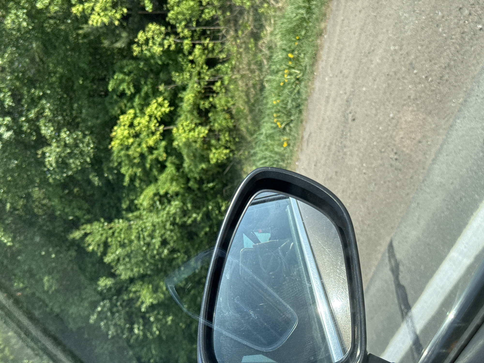 The image, presumably taken from inside a vehicle, shows a side-view mirror reflecting the interior of the car. The driver's hands and a mobile phone can be discerned in the reflection. Outside, the mirror reveals a road and a lush green area with trees and some yellow wildflowers. The location is Shaberdino, Russia.