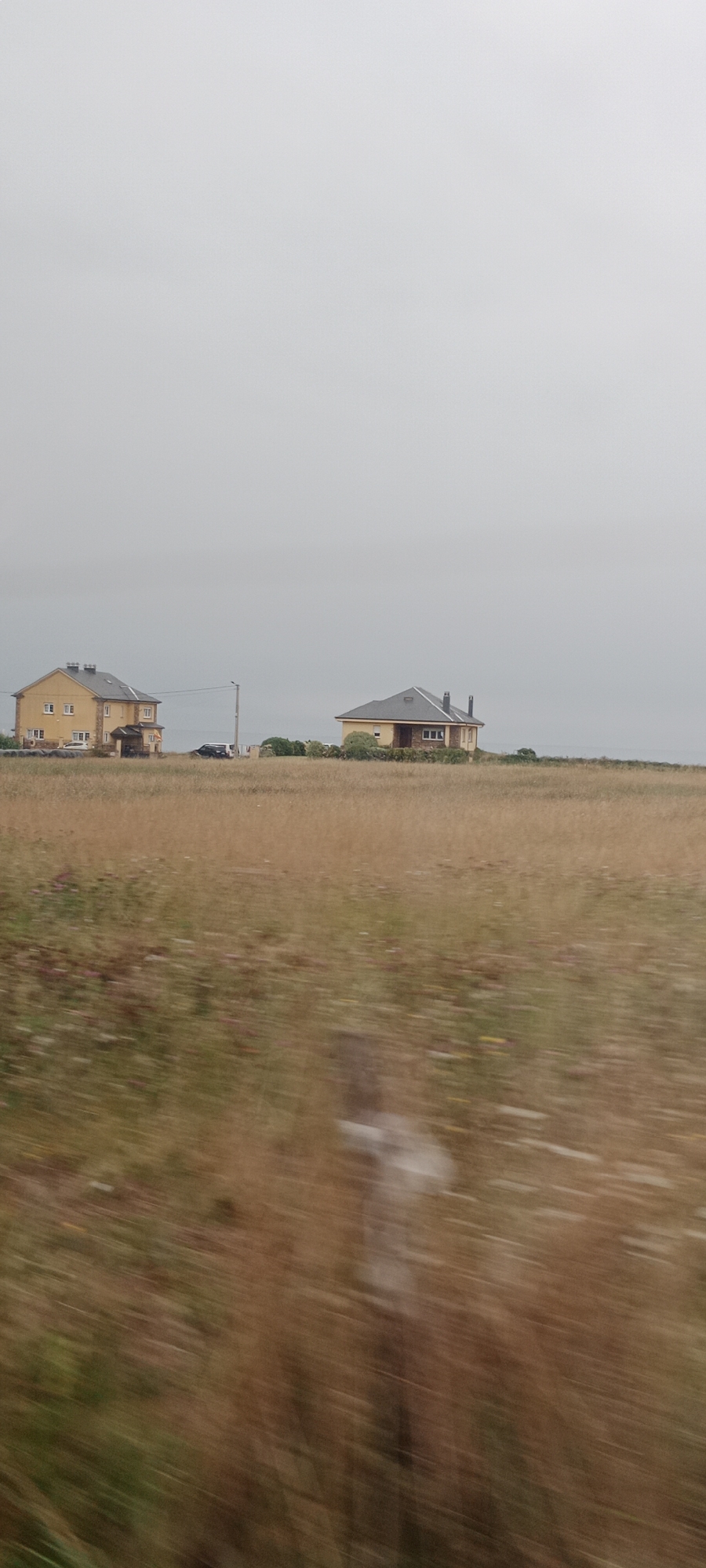 Two yellow houses with dark roofs are visible in the distance, situated on a slight rise. The house on the left is larger and appears to be a duplex or has an attached structure, with several windows and a light-colored garage door. A dark-colored vehicle is parked in front of it. The house on the right is smaller and features two chimneys and a few windows. Both houses are surrounded by lush, green vegetation. In the foreground, a field of tall, dry grass stretches across the scene, with some blurred wildflowers visible. The sky is overcast and a pale grey. The image appears to have been taken from a moving vehicle, as indicated by the motion blur in the foreground. The location is identified as O Rato, Spain.