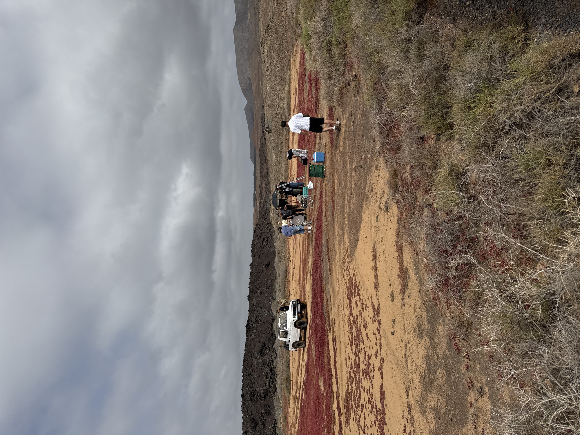 The image shows a group of people gathered beside a white vehicle in a landscape characterized by arid vegetation, red ground cover, and rocky terrain. The location is near Tinajo, Spain, as indicated by the volcanic landscape and vegetation. In the foreground, there is a reddish ground cover. A white vehicle is parked with several people around it, suggesting they are taking a break or having a picnic. A man in a white shirt and black shorts stands apart from the group. The sky is overcast. In the background, there is a dark, rocky slope and mountains in the distance.