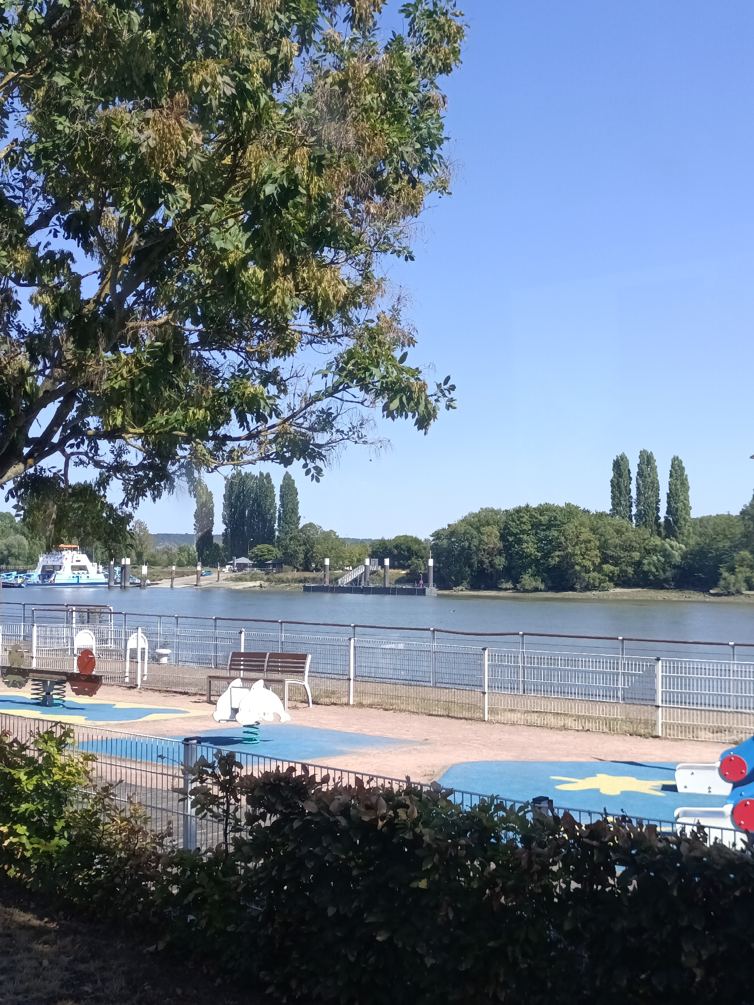 This is a photograph taken in Duclair, France, depicting a waterside park and playground area along a wide river. In the foreground, a children's playground is visible with colorful safety surfacing, including blue and yellow patterns. Several playground structures are present, such as spring riders shaped like dolphins and a see-saw. A park bench with a white frame and wooden slats is also visible. A white metal fence separates the playground from the river.
The river itself is calm and reflects the clear blue sky. A ferry boat, white with blue accents, is docked on the left side of the river, near a set of piers and ramps. The opposite bank of the river is lined with a dense, green treeline, punctuated by several tall, slender trees that stand out against the horizon. Further in the distance, rolling hills can be seen. A large tree with green foliage and some seed pods partially obscures the top left portion of the image. The overall atmosphere is serene and bright, suggesting a sunny day.