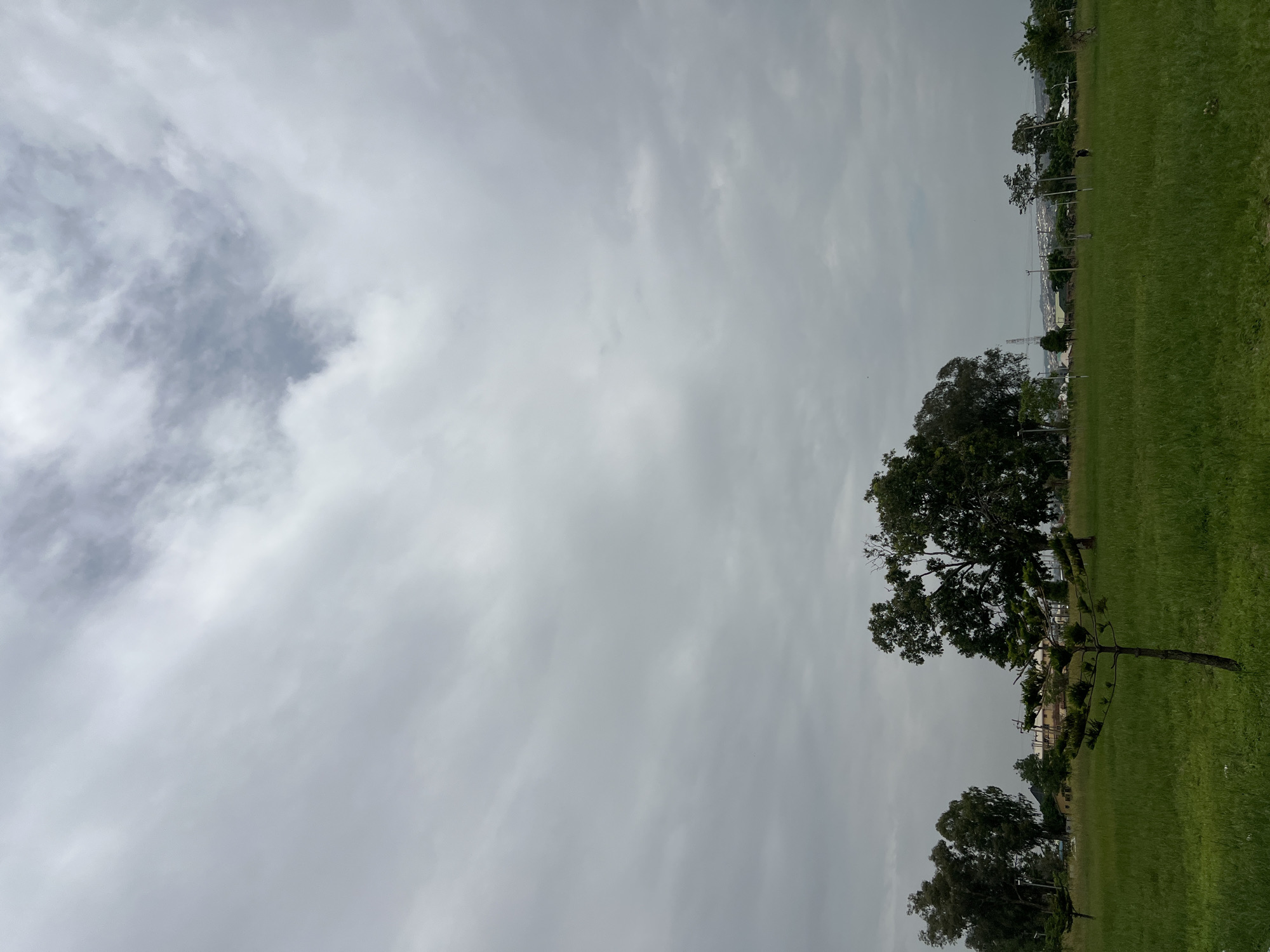 The image depicts a landscape scene, likely in or around the city of Jos, Nigeria, characterized by a vast expanse of green grass under a cloudy, overcast sky. In the foreground, a young, sparsely branched tree stands, its thin trunk angled slightly. Behind it, a cluster of larger, mature trees forms a natural backdrop, with dense foliage casting shadows on the grassy field. Further in the distance, a collection of buildings and structures, possibly a residential area or part of the urban landscape, are visible. Power lines and utility poles are also present, indicating the presence of infrastructure. The sky is filled with a thick layer of clouds, obscuring any direct sunlight and contributing to a muted, diffused light across the scene. The overall atmosphere is serene and natural, with a hint of the urban environment encroaching on the natural landscape.