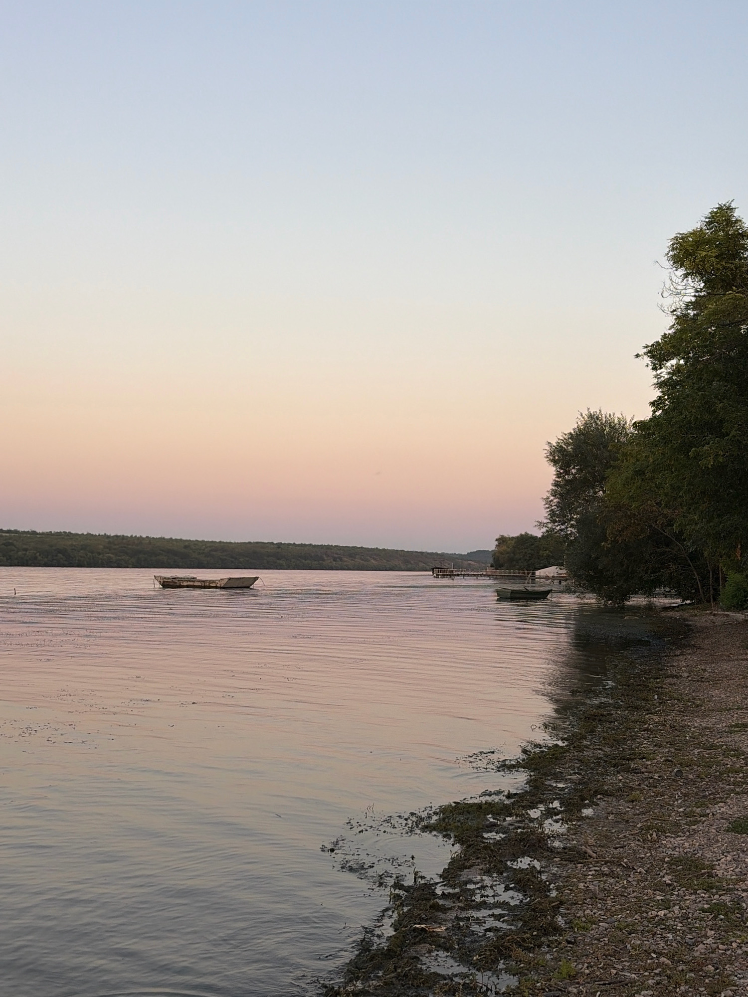 The image depicts a serene river scene at dusk in Oxentea, Moldova. The sky displays a soft gradient of pale blue at the top transitioning to a warm pinkish hue near the horizon. A distant treeline of lush green vegetation forms a continuous horizon across the frame. In the foreground, the river's surface is calm with gentle ripples reflecting the sky's colors. Two small boats are visible on the water; one, a weathered, flat-bottomed vessel, floats closer to the left bank, while another, a darker, submerged-looking boat, is positioned further to the right near a wooden pier. The right bank of the river is lined with trees and shrubs, with a pebbly shore encroaching on the water's edge, dotted with debris and vegetation. The overall atmosphere is peaceful and natural.