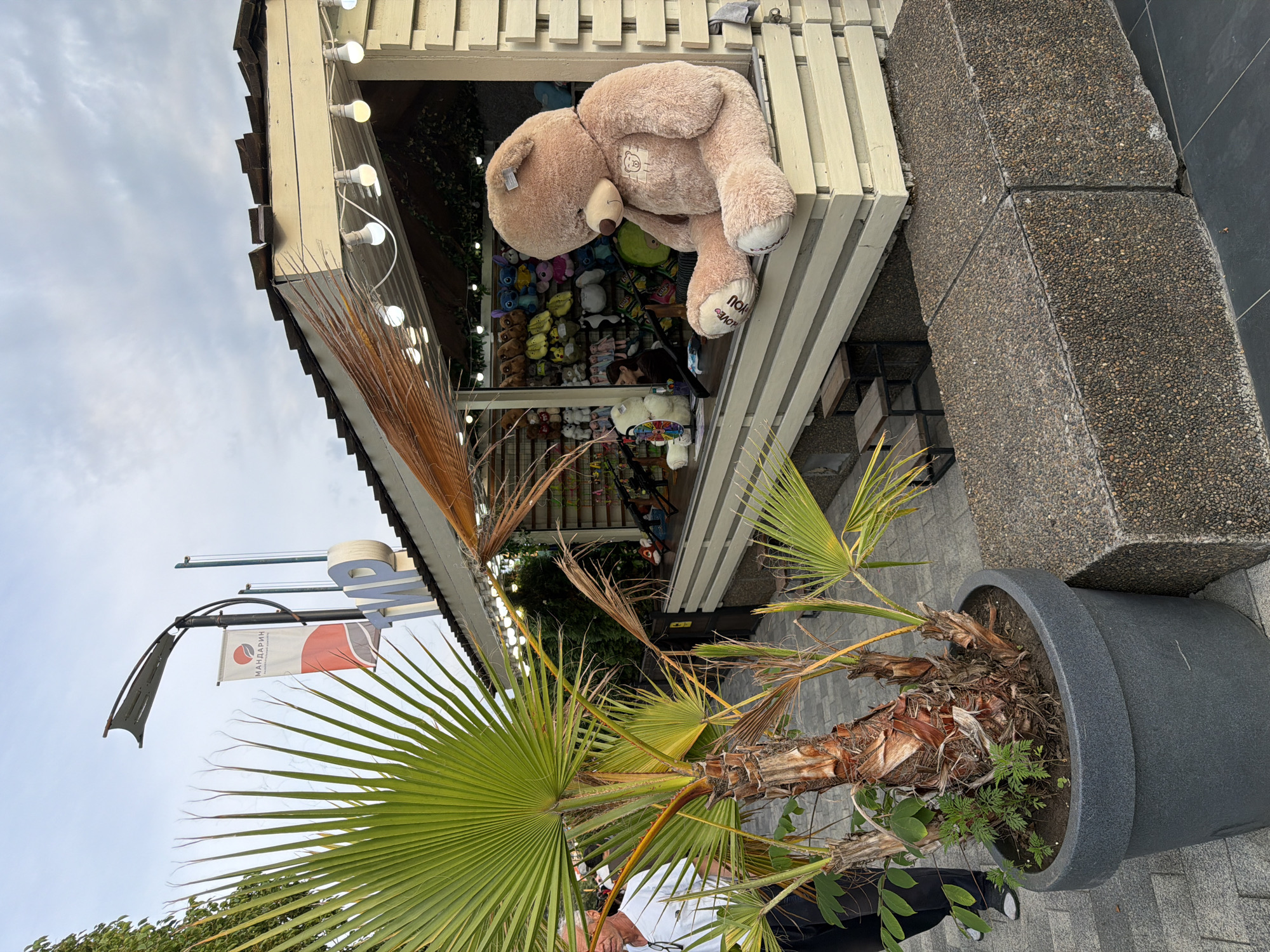 A large, light brown teddy bear sits on the ledge of a wooden booth, its head bowed. The booth is illuminated by strings of white lights and displays rows of plush toys on shelves behind it. In front of the booth, a man wearing a white shirt and dark pants stands near a large potted palm tree. The scene appears to be outdoors, possibly in a park or amusement area, with a cloudy sky overhead. A banner with Russian text and a logo hangs from a lamppost in the background, suggesting a location in Russia. The overall impression is one of a casual, recreational environment, likely an entertainment venue.