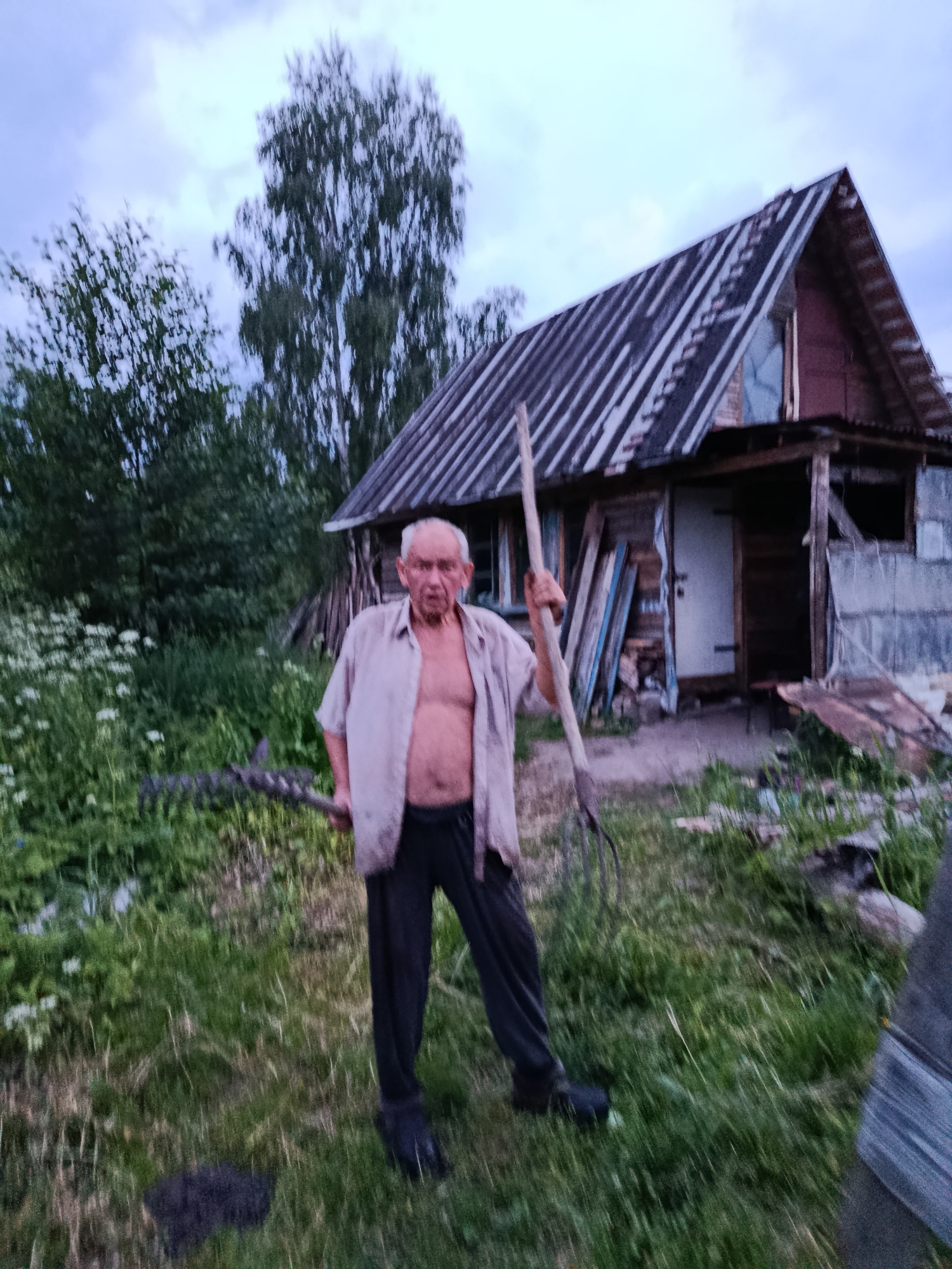 An elderly man stands in a grassy yard, holding agricultural tools. He is wearing a light-colored, open-collared shirt and dark pants. To his right, a rustic, weathered wooden structure with a pitched roof appears to be a small house or shed. The surrounding environment is overgrown with grass and foliage, with trees visible in the background. The sky above is overcast with diffused light. The scene evokes a rural or semi-rural setting, possibly in the city of Vereya, Russia, given the context of typical dachas or country houses found in such areas. The overall impression is one of a simple, perhaps working-class, rural homestead.