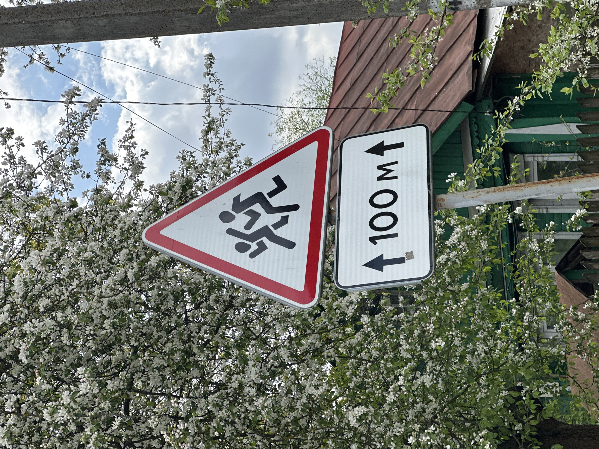 A street scene in Nizhny Novgorod, Russia, featuring a warning sign for children crossing the road ahead (red triangle with running figures) and a distance marker (rectangular sign with "100 M" and arrows pointing up and down). The signs are positioned against a backdrop of white flowering trees and foliage, suggesting a season of bloom. A section of a building with brown roofing and green siding is visible in the background to the right of the signs. Above the signs and flowers is the edge of what appears to be a concrete beam. The sky is overcast, with some patches of blue visible through the branches.