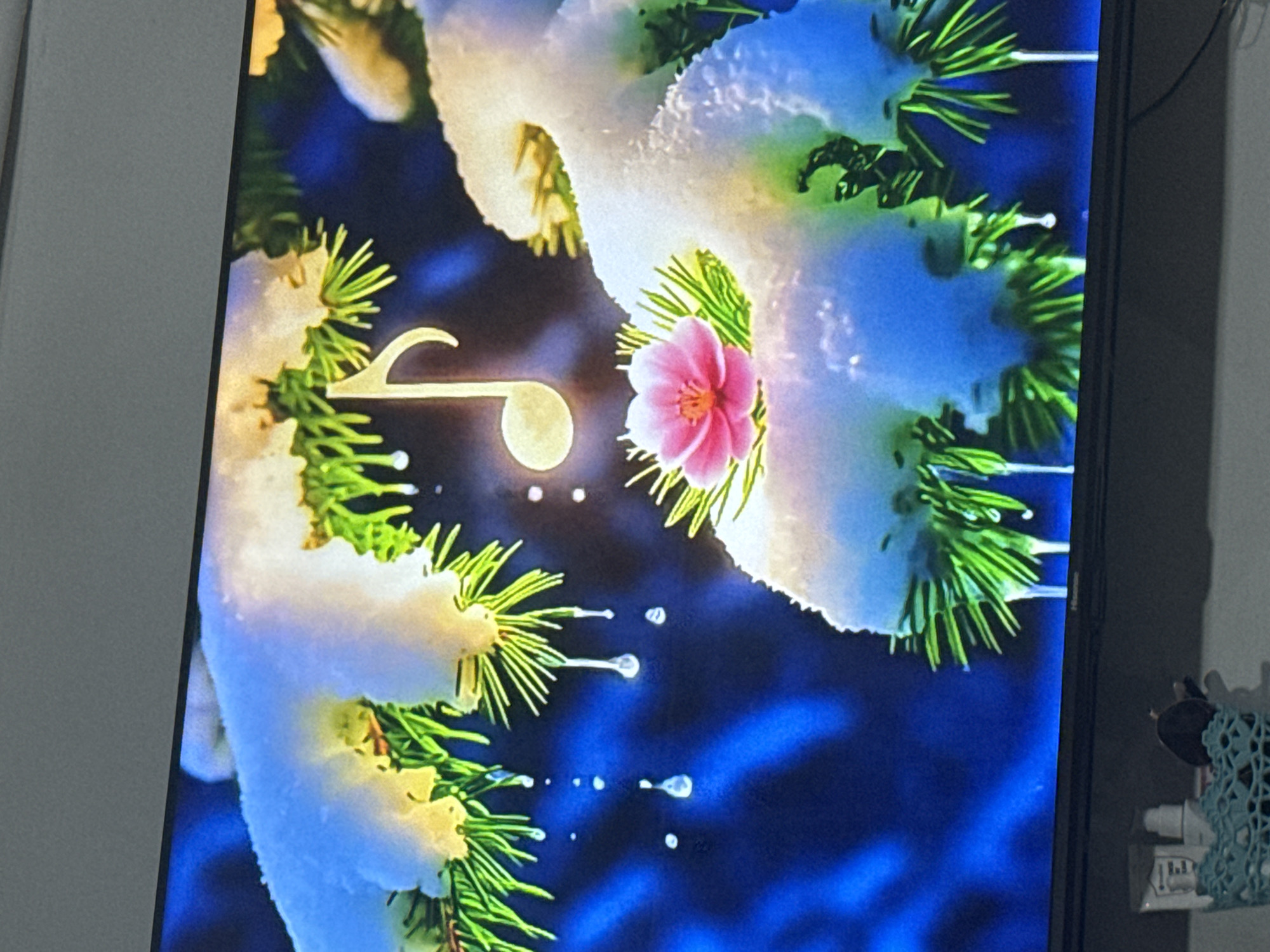 The image displays a close-up of snow-covered pine branches with a single pink flower blooming on one branch. A musical note symbol is superimposed in the upper right quadrant of the image. The background is a deep blue, likely representing a dark sky or blurred foliage. Melting snow drips from the branches, and small white dots, possibly snow or light particles, are scattered throughout the scene. The setting appears to be a natural, wintry environment. The image does not contain any information or context that would indicate its location in Chardara, Uzbekistan, nor does it depict any people or specific actions.
