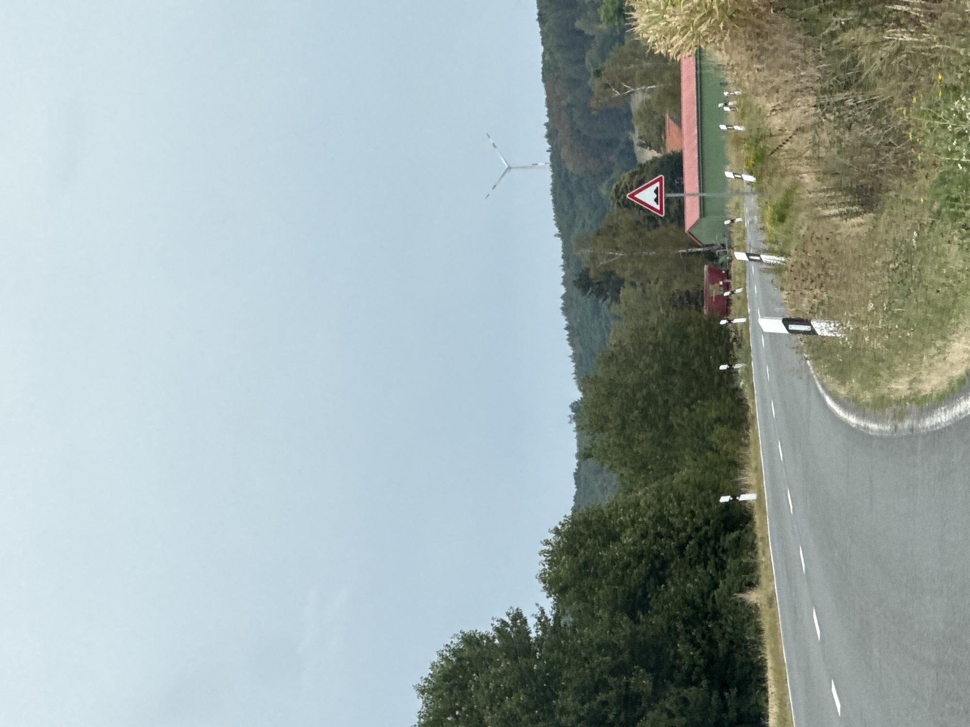 The image shows a rural road curving to the right in Hohenstein, Germany, under an overcast sky. On the left side of the road are lush green trees. On the right side, there is dry grass and vegetation. A red-roofed green building is visible in the background, along with a red train car. A triangular warning sign with a depiction of speed bumps is posted on the right side of the road. In the distance, a wind turbine stands on a hill covered with trees. Road markers with black and white reflective stripes line the edge of the road.