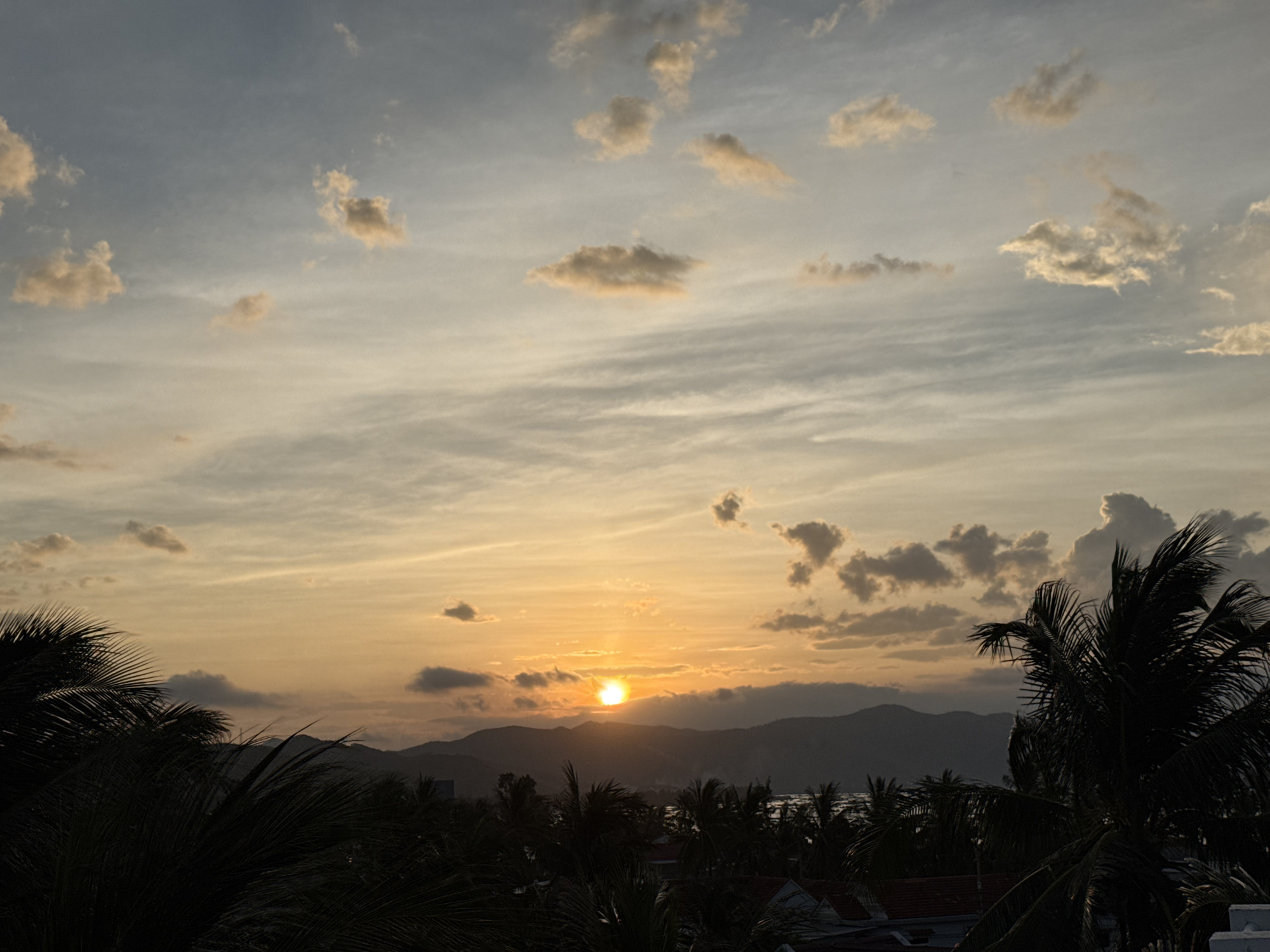 This is a wide-angle, eye-level photograph taken from a rooftop in Song Cau, Vietnam, during sunset. The sky is a blend of pale blue and orange hues, with wispy, scattered clouds tinged with yellow and gold from the setting sun. The sun itself is a bright, intense orange orb situated slightly left of center in the frame, just above a silhouetted mountain range. Below the mountains, the dark outlines of trees and rooftops suggest the presence of a coastal town or village. The foreground is dominated by the dark, silhouetted fronds of palm trees, adding a tropical element to the scene. The overall atmosphere is serene and visually striking, characterized by the dramatic interplay of light and shadow.