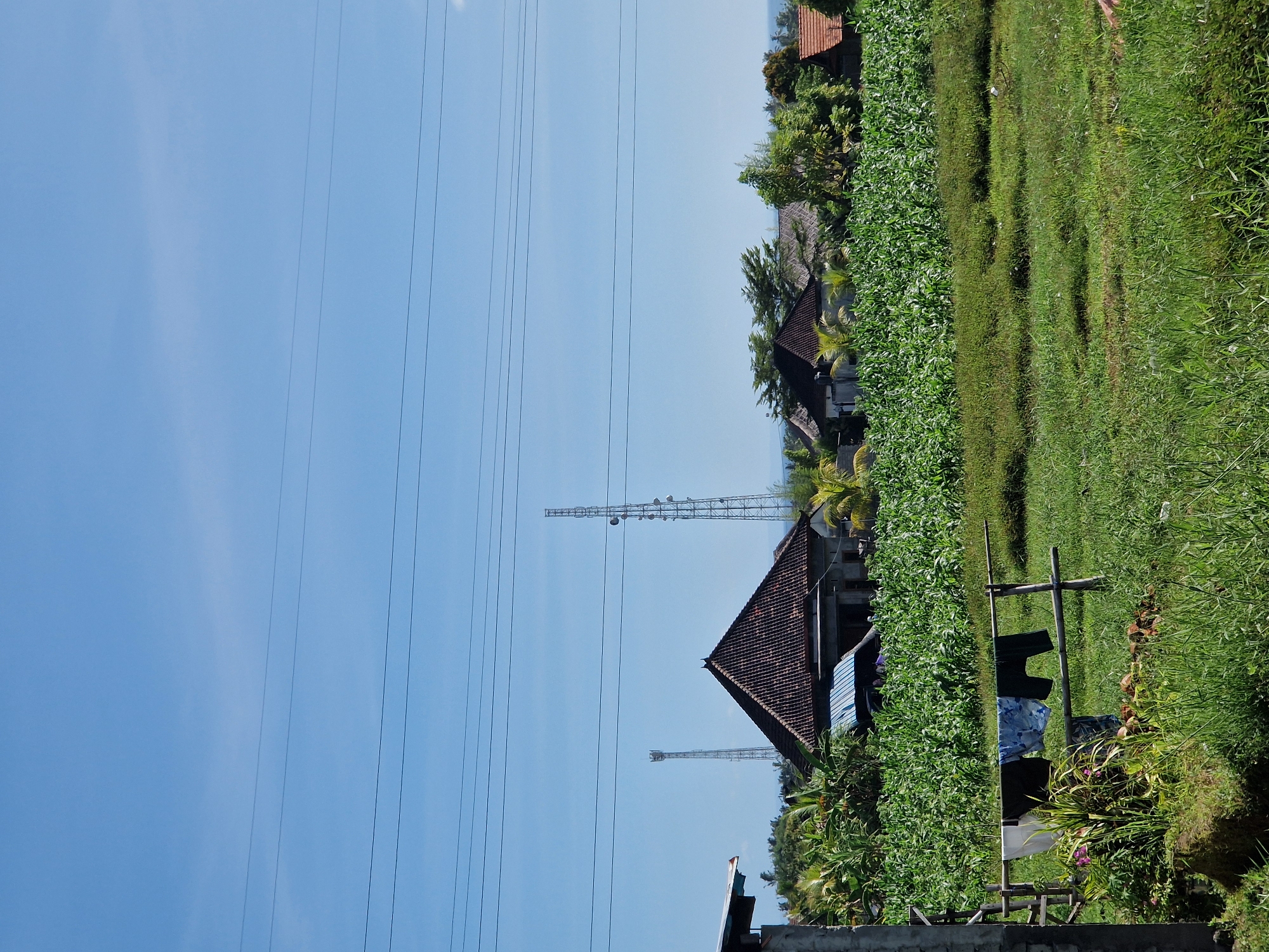 The image shows a rural scene in Pekutatan, Indonesia. In the foreground, there is a simple wooden clothesline with clothing hanging to dry. Lush green vegetation, including crops and tall grasses, covers the ground. Behind the vegetation are several traditional Balinese-style houses with tiled roofs. Power lines run across the sky. A communications tower is visible between the houses. The sky is clear and blue.