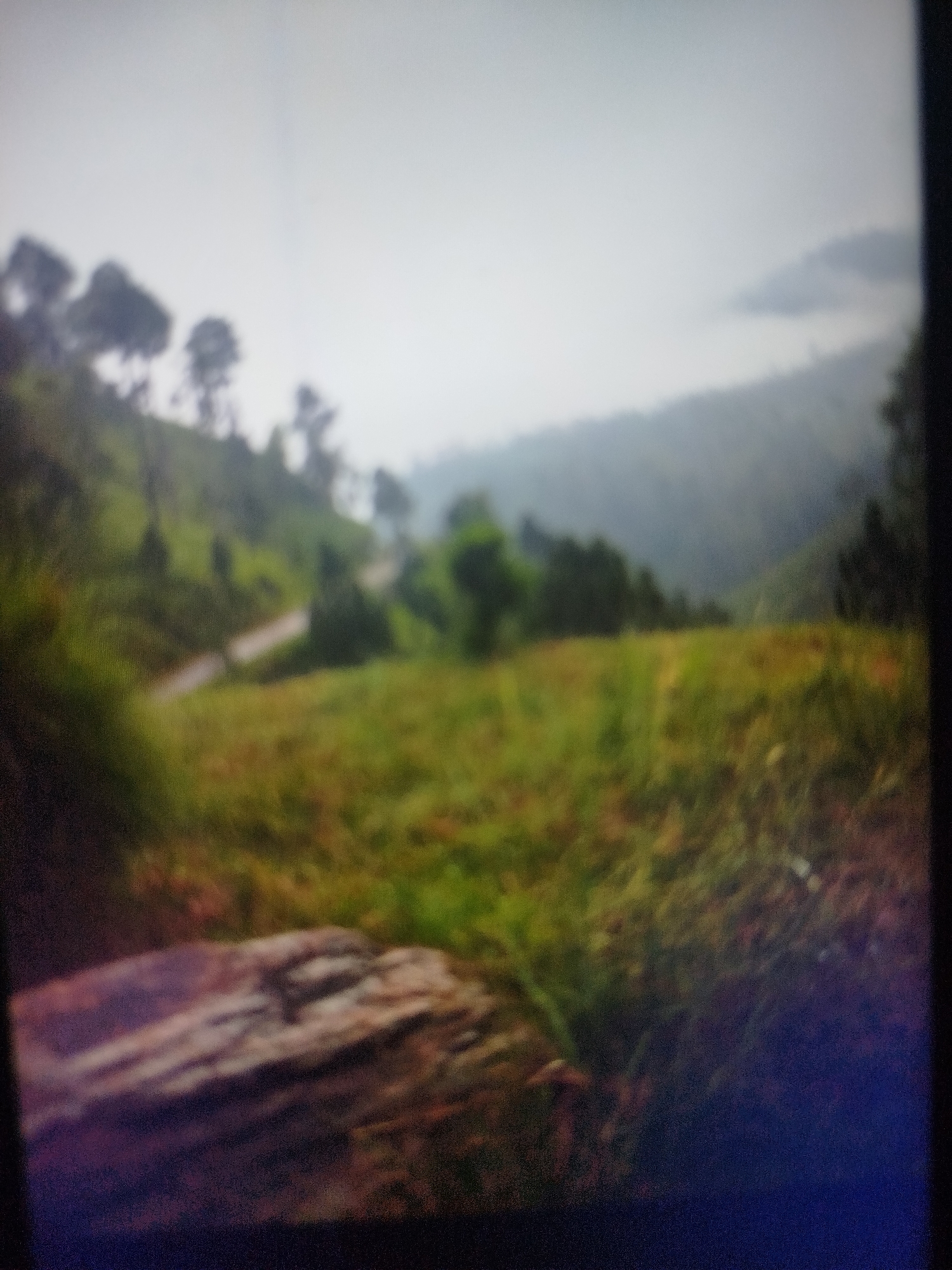 The image is a blurry, horizontal shot of a natural landscape, likely a mountainous or hilly region. In the foreground, there is a large, textured rock. Beyond the rock, a grassy area slopes upwards, dotted with patches of reddish-brown vegetation. A faint, light-colored path or road winds through the green landscape in the middle ground. The background features a series of rolling hills covered in trees, shrouded in a light mist or fog. The sky is overcast and appears pale gray. The overall impression is one of a serene, natural environment. There are no visible people or animals.
