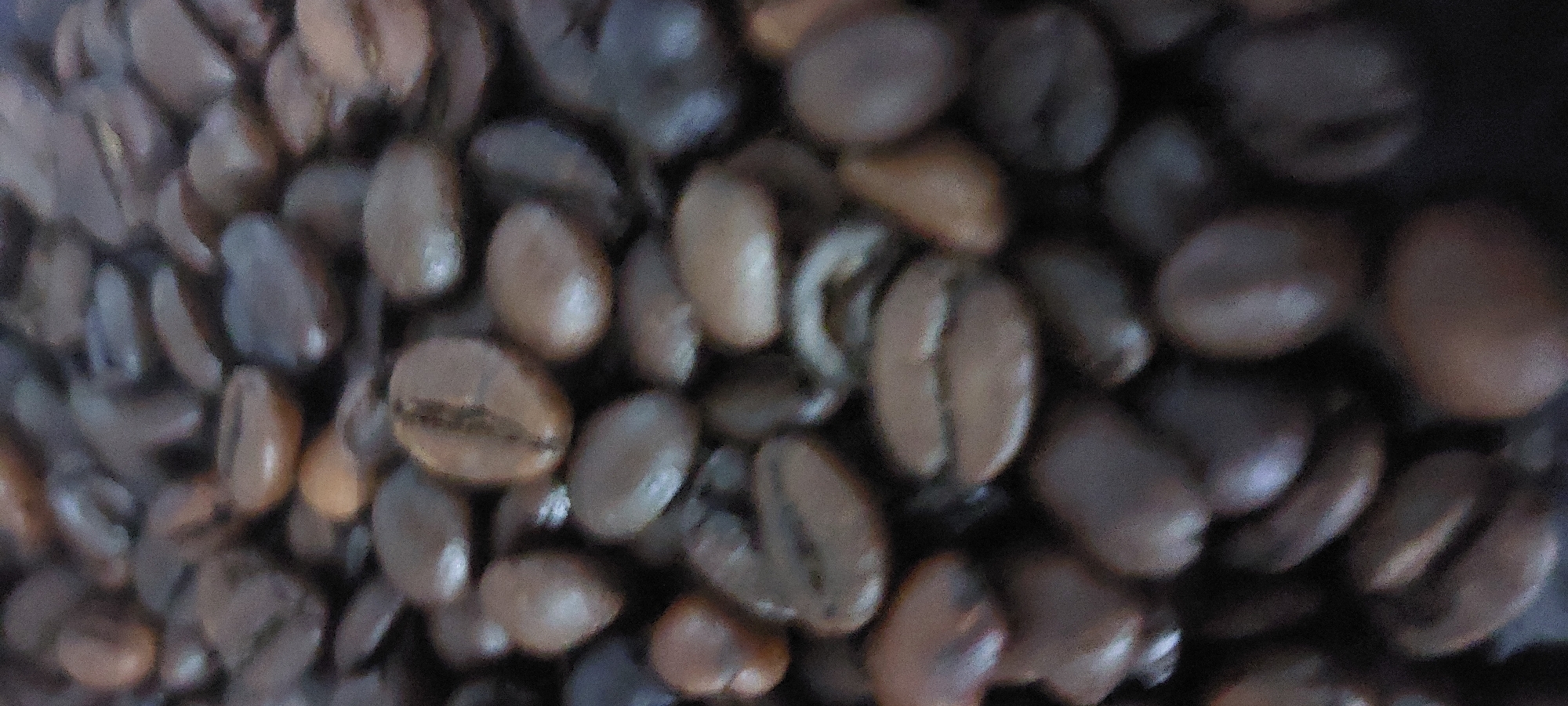 The image presents a high-angle, close-up view of numerous roasted coffee beans, filling the entire frame. The beans display a range of dark brown to medium brown hues, with some exhibiting lighter, reddish-brown reflections from an unseen light source. A shallow depth of field is evident, rendering several beans in the mid-ground relatively sharp, allowing their characteristic central groove and subtle surface textures to be seen. Other beans, particularly towards the edges and in the background, are significantly blurred, creating an indistinct, soft field of brown. The beans are scattered and piled in an irregular pattern. No people, specific objects beyond the coffee beans, or discernable external environment are visible. The image provides no visual information regarding a specific geographical location, city, or country.