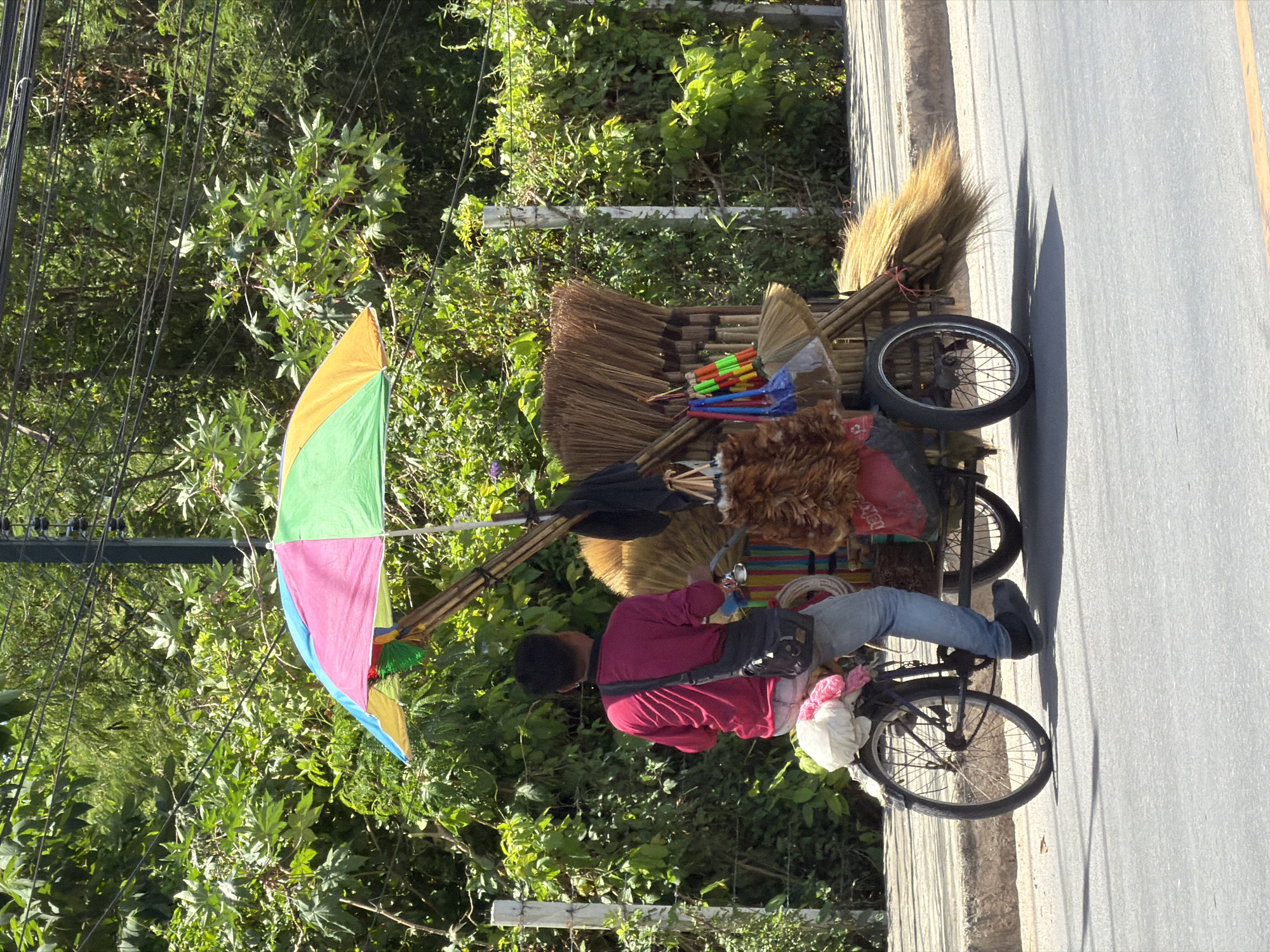 A vendor is seen on a street in Ko Samui District, Thailand, on a sunny day. The vendor is riding a three-wheeled bicycle that is loaded with brooms of various sizes. A colorful umbrella is attached to the bicycle, providing shade for the brooms and the vendor. The brooms are made of natural materials and some are fanned out. Hanging from the brooms are small, colorful brushes. The vendor is wearing a magenta long-sleeved shirt, blue jeans, and dark shoes. A dark shoulder bag is slung across the vendor's chest. The bicycle is carrying other items, including a white bag and pink fabric on the rear. The vendor is positioned on the right side of the street, with lush green foliage and trees visible in the background. The street is paved, and there is a concrete curb. Power lines are visible overhead, strung between poles. The scene appears to be a typical street view in a tropical location.