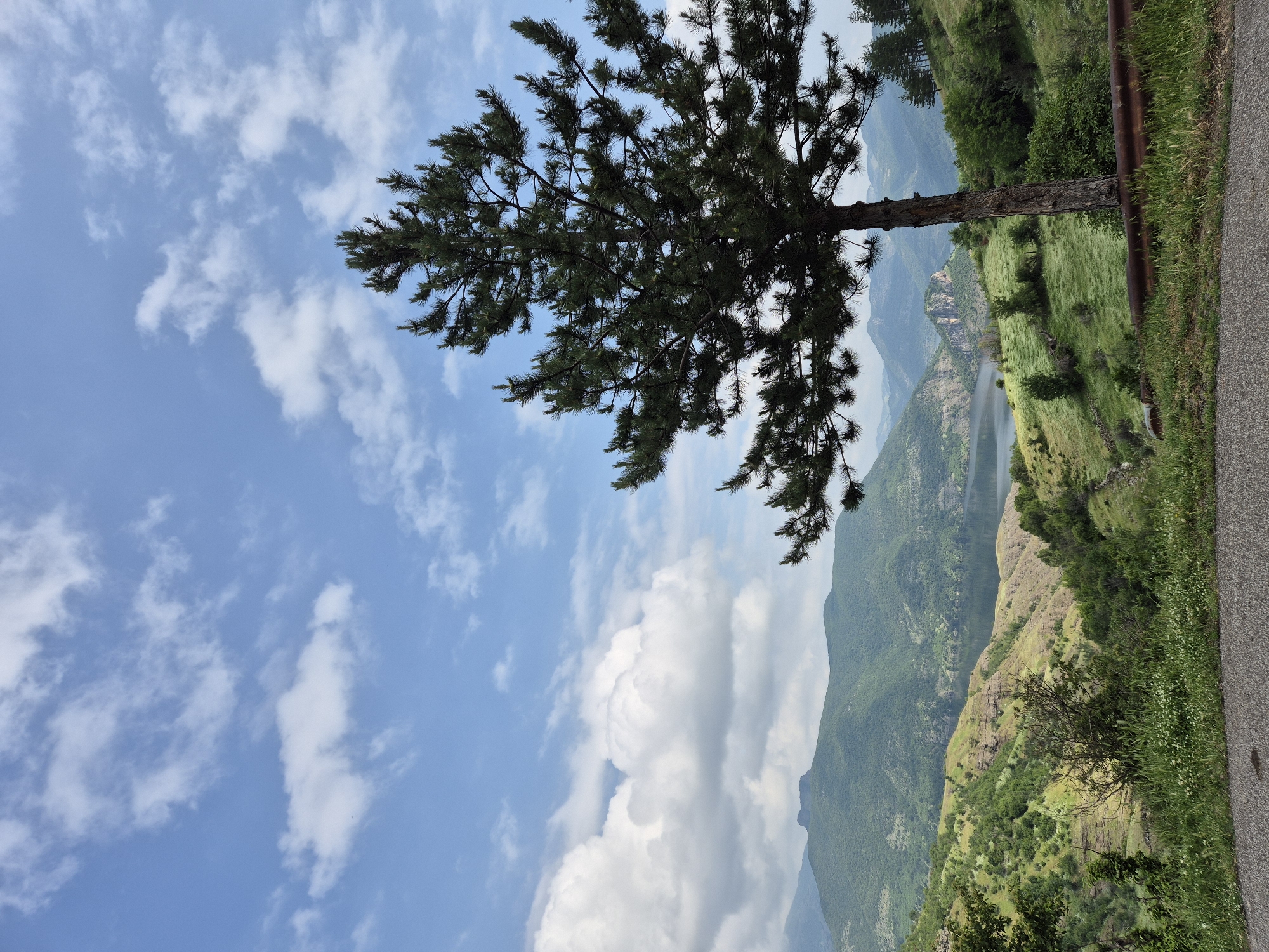 The image captures a serene natural landscape, viewed from a roadside vantage point. In the foreground, a tall pine tree stands prominently on the right side, its dark green foliage and branches extending across the upper right portion of the frame. Below the tree, a section of an asphalt road or path is visible along the very bottom right edge, bordered by a rusty metal barrier or railing that runs horizontally.

Beyond the road and barrier, the terrain descends steeply into a valley. The midground and background are dominated by a vast expanse of rolling mountains and hillsides. These are covered in a mosaic of green vegetation, ranging from lush forests to grassy slopes, with some rocky outcrops visible. A winding body of water, appearing to be a river or a long lake, meanders through the valley floor, reflecting the bright sky. Distant mountains with soft, hazy outlines complete the scenic panorama.

The sky, occupying the upper half and left side of the image, is a clear blue adorned with scattered, fluffy white cumulus clouds. This suggests good weather during the daytime, likely late morning or early afternoon. No people or visible text are present in the image. The scene evokes a sense of tranquil natural beauty, characteristic of a mountainous or hilly region such as Star chitak, Bulgaria.