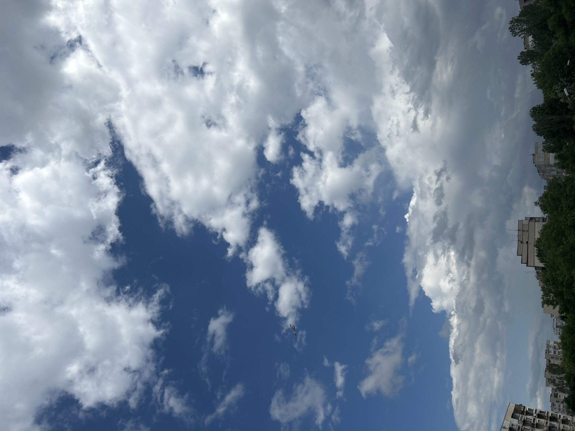 The image, originally oriented vertically, depicts a dynamic sky scene above an urban environment, likely in Sofia, Bulgaria, consistent with the provided context. The sky is largely dominated by an array of clouds, ranging from bright white, puffy cumulus formations to darker, denser grey clouds, particularly towards the right side of the frame. Patches of clear, vibrant blue sky are visible, creating contrast with the cloud cover.
In the expanse of the blue sky, a small, distant airplane is visible, appearing as a dark, elongated speck. Along the bottom edge of the frame, several multi-story buildings are partially visible, their concrete facades and numerous windows suggesting residential apartment blocks typical of post-socialist architecture. These structures are nestled among abundant, lush green trees, whose foliage obscures parts of the buildings and frames the lower portion of the sky. A few white pole-like structures, possibly streetlights, can be discerned amidst the greenery near the buildings.
The time of day is clearly daylight, likely mid-day or afternoon, given the bright illumination. The weather appears to be partially to mostly cloudy, with the darker clouds hinting at a dynamic atmospheric condition, possibly an approaching weather front. There are no people visible in the image, and no discernible text. The scene captures a moment of natural beauty overhead combined with subtle cues of an urban setting.