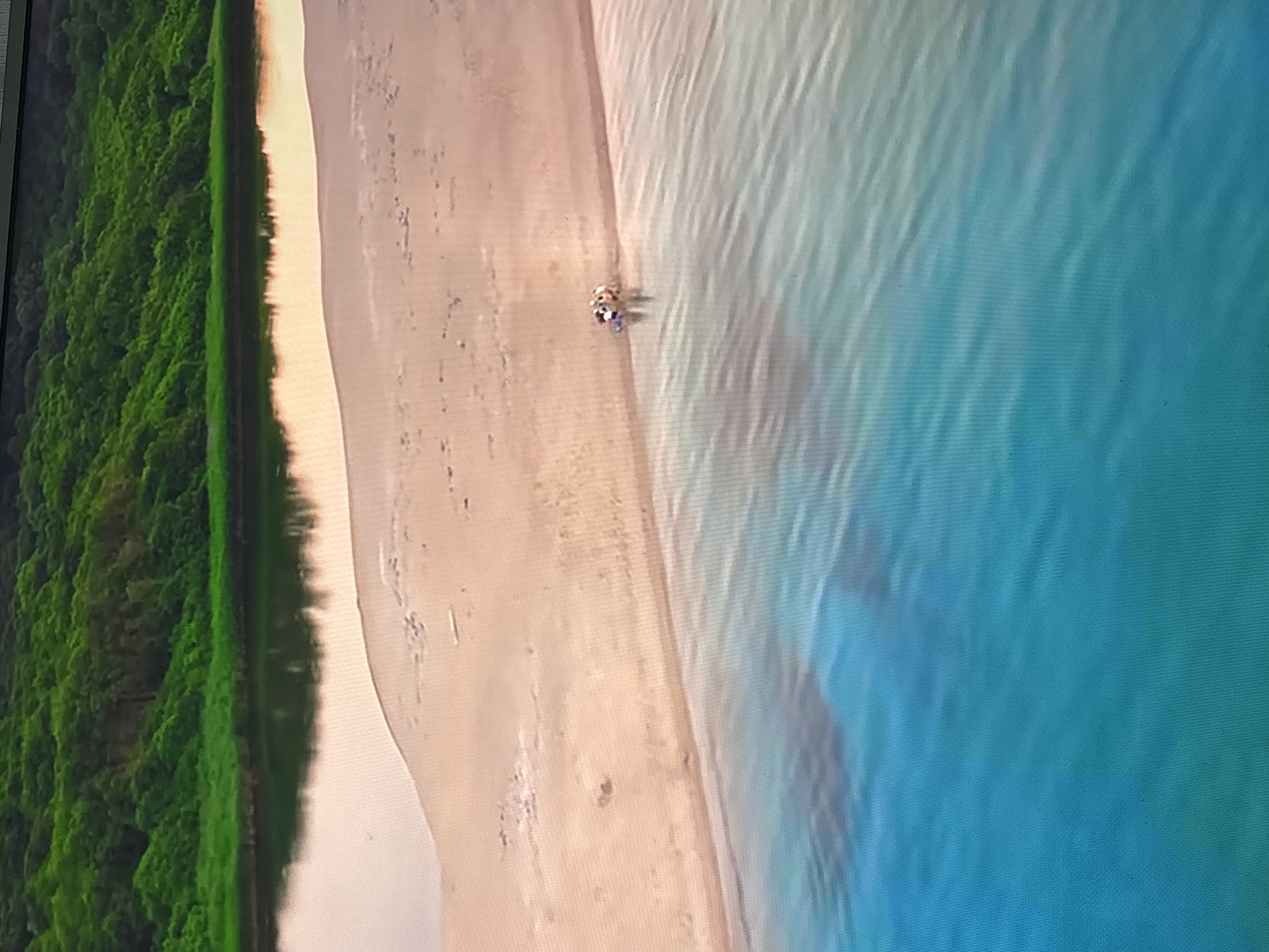 The image shows an aerial view of a beach. Dense green vegetation borders the left side of the image, next to a sandy shoreline. To the right of the sand is a light blue body of water. There are at least three people on the sand. The location is not Sofia, Bulgaria.