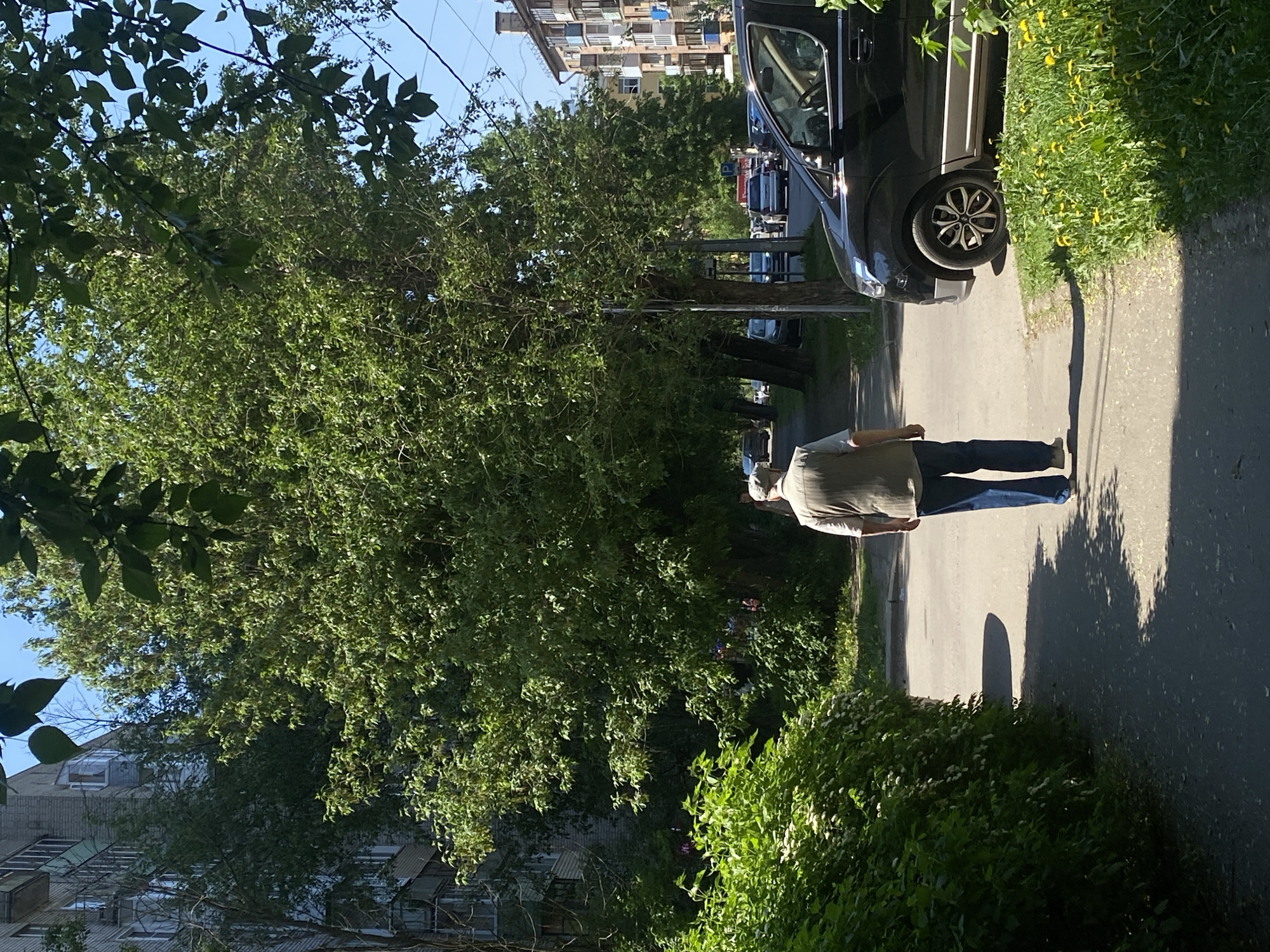 A view of a street in Шебунино, Russia on a sunny day, showing a man in a hat and light-colored shirt walking on the sidewalk. The sidewalk is bordered by grass, some of which has yellow flowers growing in it. A dark-colored van is parked partially on the sidewalk and partially in the street. Trees line the street, and apartment buildings are visible in the background.