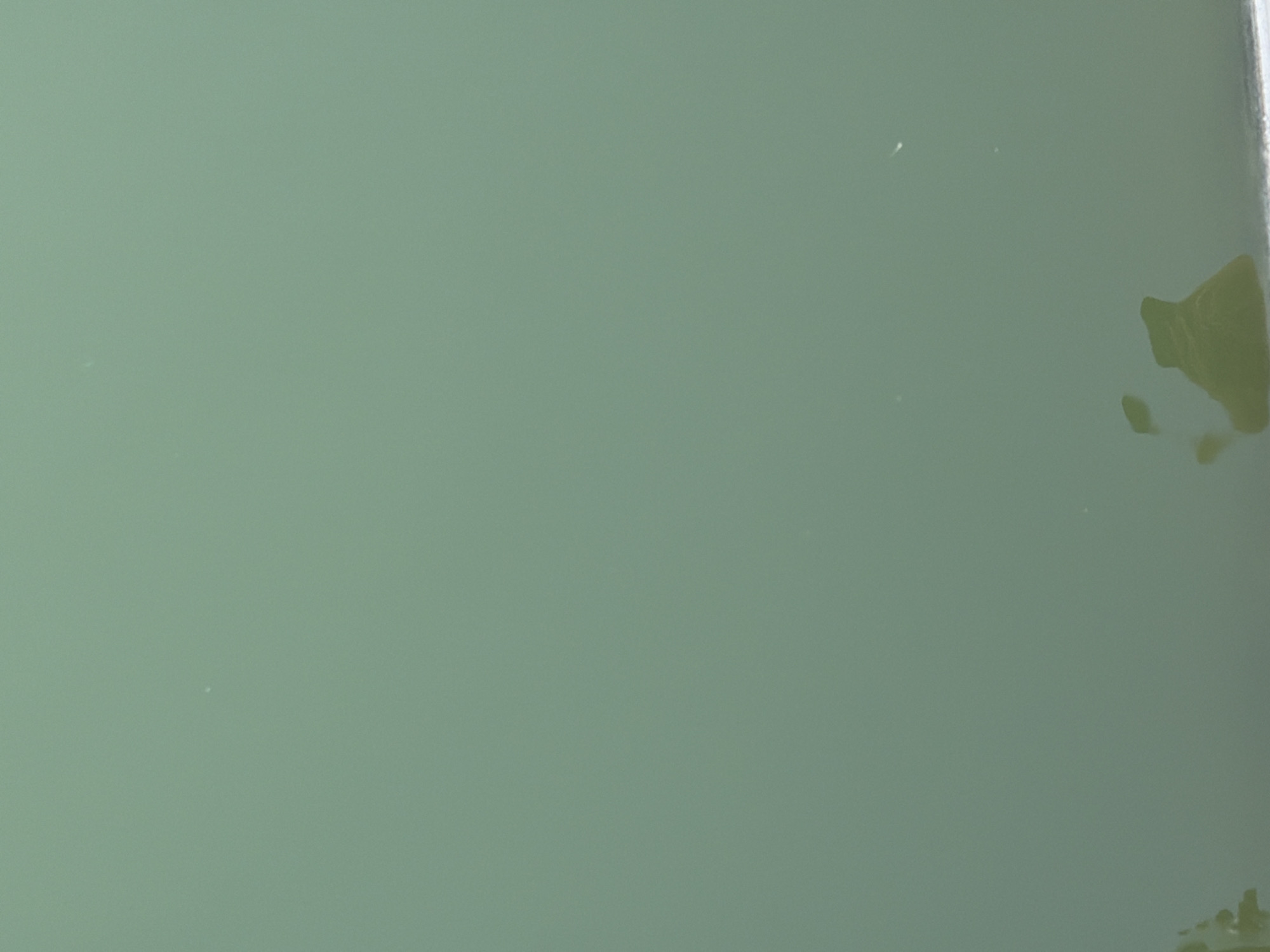 The image displays a close-up view of greenish water, likely a river or canal, with a few small specks floating on the surface. At the bottom of the frame, there are some indistinct shapes that appear to be partially submerged debris or plant matter. The overall scene is calm and muted. This image does not provide any specific landmarks or context to pinpoint a location within the city of Plovdiv, Bulgaria.
