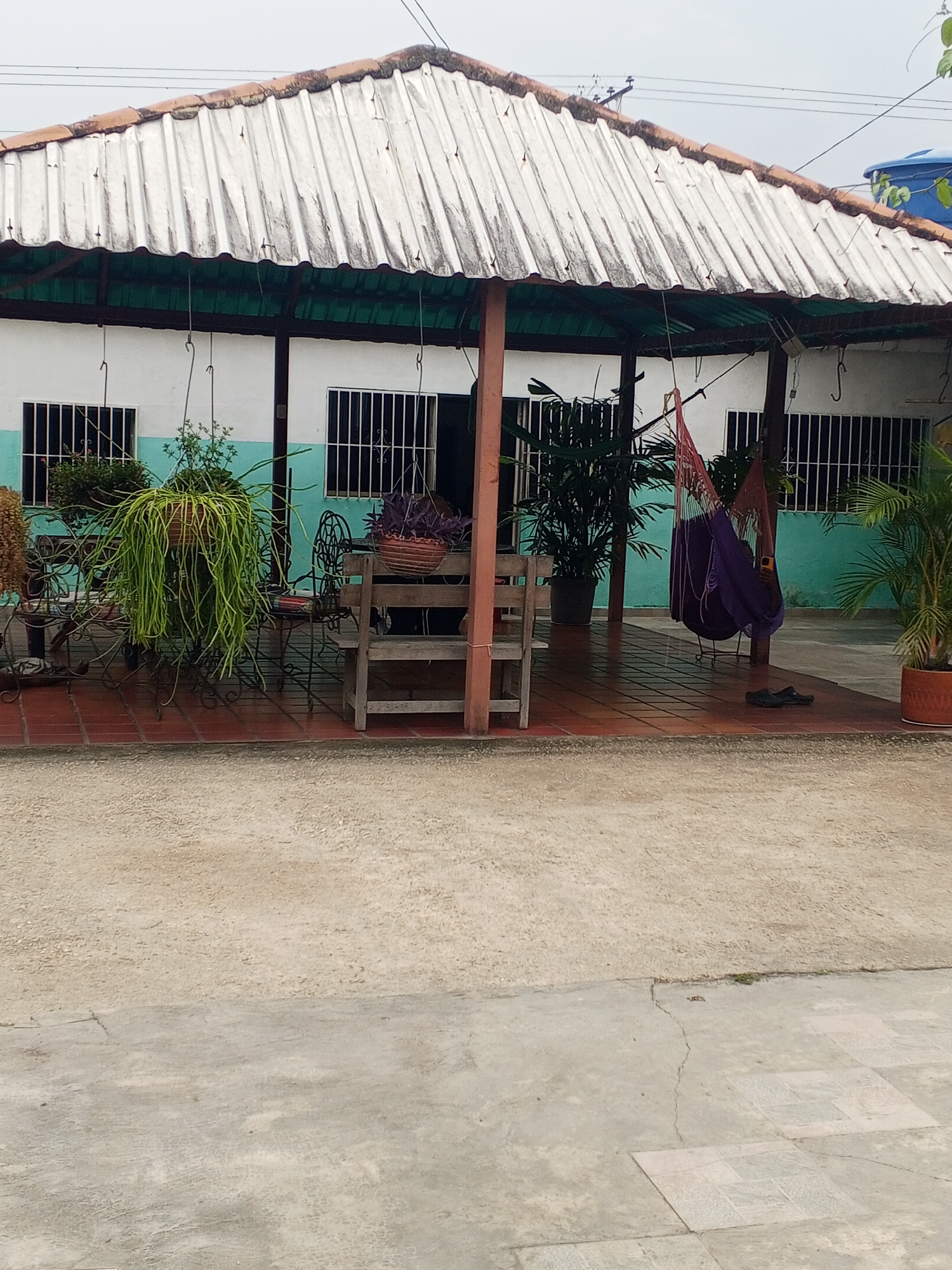 The image shows a patio or covered porch area, possibly attached to a residence, in what is suggested to be Tinaquillo, Venezuela. The building is characterized by a white and turquoise exterior. The roof is light-colored and corrugated. The patio features potted plants, hanging greenery, and a hammock in a purple sack-like enclosure. There is wooden furniture, including chairs and possibly a table. The flooring of the patio is reddish-brown tile. A person in the hammock is obscured by the purple enclosure. The ground outside the patio is a light, speckled concrete surface with cracks. Power lines are visible above. A blue water tank is also visible above the top-right corner of the building. The overall setting appears to be a residential or semi-rural environment.
