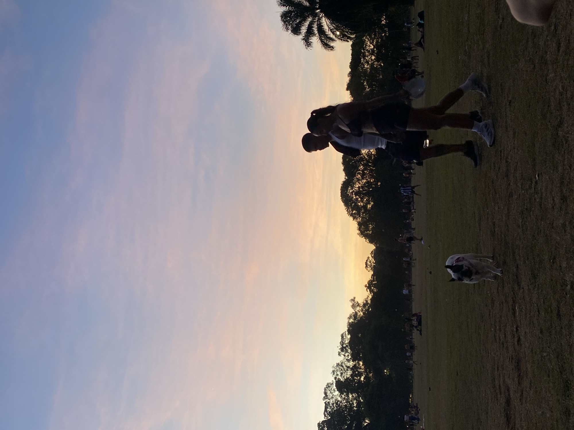 The image captures an outdoor scene at either sunset or sunrise, characterized by a vast sky that transitions from a soft blue at the top to pale orange and yellow hues near the horizon, with minimal cloud cover.
In the foreground, silhouetted against this colorful sky, two individuals stand close together. One person, appearing to be a man, wears a light-colored top and dark shorts, while the other, possibly a woman, is in a dark top and dark shorts. Their faces and specific features are obscured by the backlighting. A distinctive palm tree stands in silhouette in the upper left, hinting at a tropical or subtropical environment.
The mid-ground and background feature a large, open grassy field, which appears somewhat dry. A light-colored dog, with visible dark markings on its face and head, is in the middle right of the frame, looking towards the left. Along the distant horizon, a dense line of trees forms a dark silhouette, bordering the field. Numerous other people are scattered across the grassy area, particularly in the mid-ground and background on the left side of the image. These figures are indistinct silhouettes, some standing and some sitting in groups, suggesting a casual gathering or leisurely activity in a park setting.
The overall atmosphere conveyed is peaceful and relaxed, typical of an evening (or morning) spent outdoors during the golden hour. The location cues, especially the palm tree and open park-like setting, are consistent with the context of São Paulo, Brazil. There is no visible text in the image.