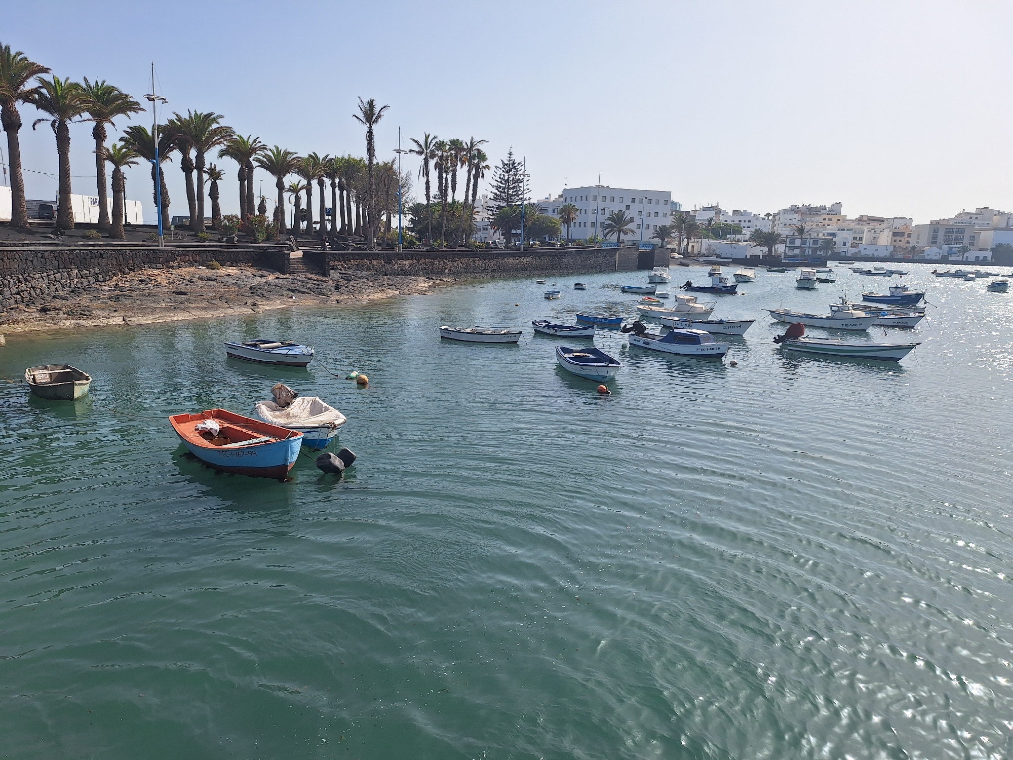 The image shows a body of water in the port of Arrecife, Spain, with numerous small boats moored. The water is a deep teal color, with small ripples and reflections of sunlight. On the left side of the image, a stone embankment is visible, topped with a line of palm trees and several buildings in the background, including white structures with arched windows and flat roofs, characteristic of Canarian architecture. A white sailboat mast is prominent among the trees. The boats are of various sizes and colors, mostly white or blue, and some have covers. Several buoys are also visible in the water. The sky is clear and a light blue. The scene depicts a peaceful harbor environment.