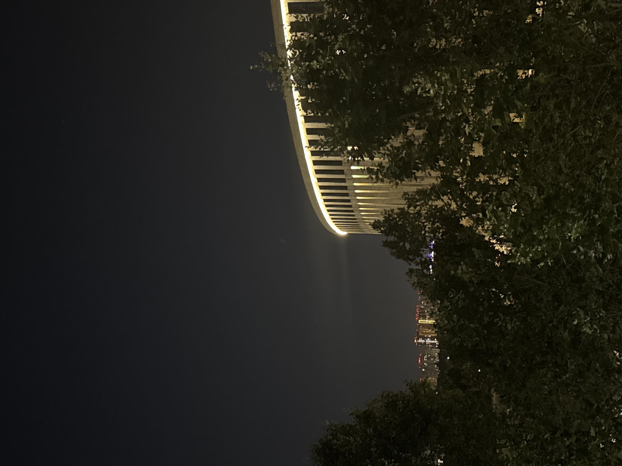 A nighttime exterior scene features a large, modern, curved building with a lit facade of vertical columns and a bright, continuous light strip along its upper edge. In the foreground, dark, dense foliage from trees partially obscures the view of the building and a distant city skyline with illuminated buildings. The sky above is dark and clear.