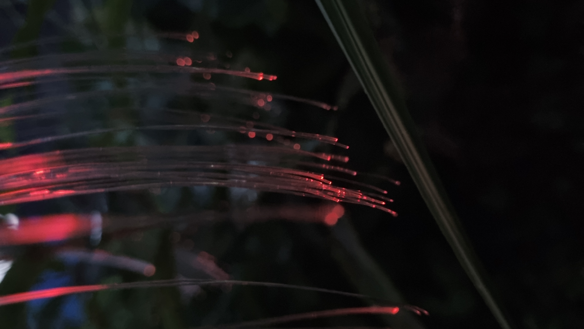 A close-up, shallow depth-of-field shot focuses on a cluster of thin, transparent fibers that appear to be illuminated from within with red light. The fibers hang vertically, with their tips glowing brightly. The background is dark and out of focus, with hints of green foliage and some bokeh lights. The scene is likely an outdoor setting at dusk or night. The specific location in the city of Vysokoe, Russia cannot be determined from the image alone.