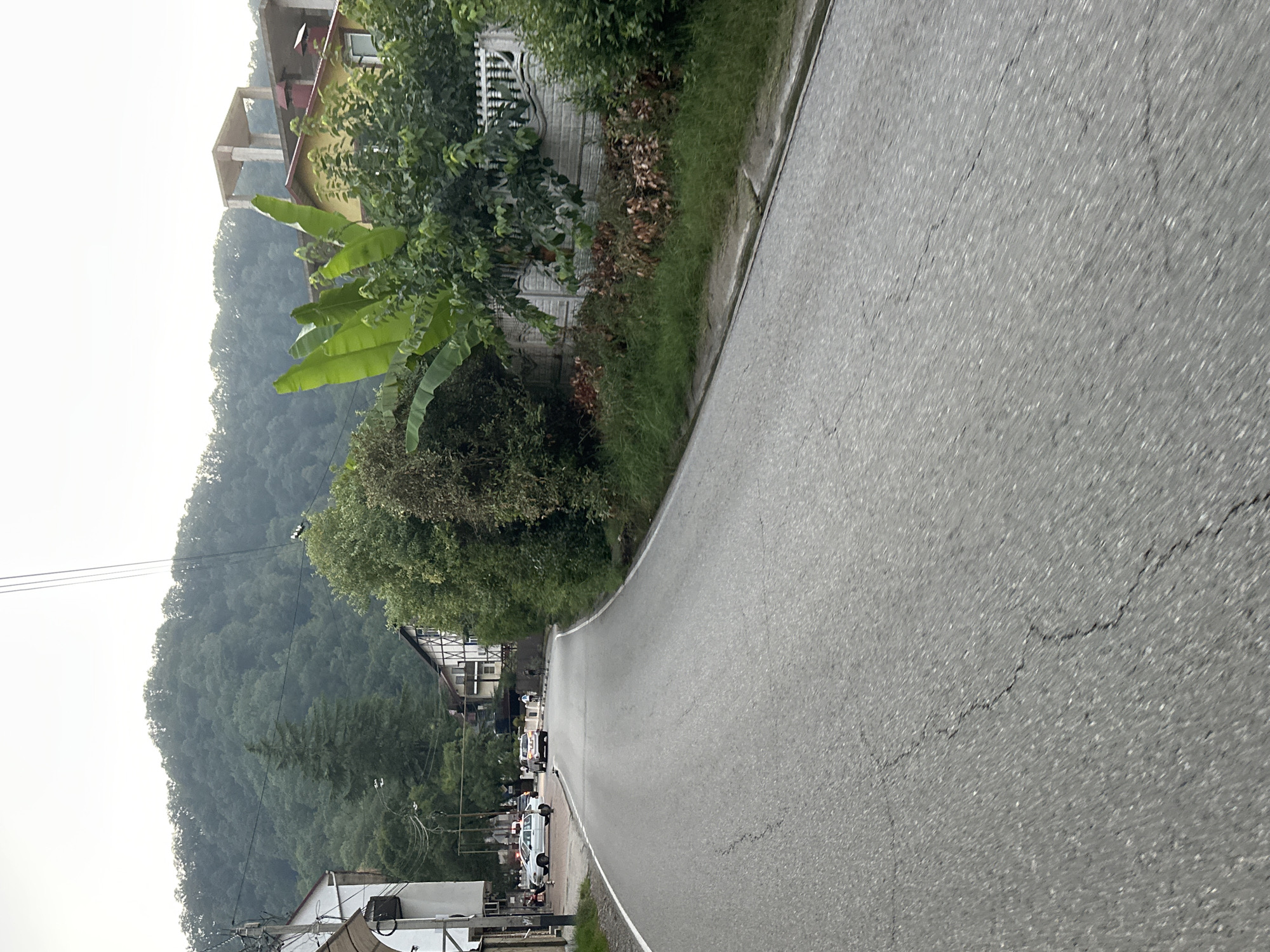A paved road curves to the right, leading towards a densely forested mountain. On the left side of the road, a white building with a dark awning and a sign is visible. Further down the road, several parked cars are present, including a white sedan and a white SUV. On the right side of the road, a decorative white fence runs along a property with lush green vegetation, including banana trees, and some dry undergrowth. A yellow house with red-trimmed gables and a partially constructed concrete structure behind it are also visible. In the background, the mountain is covered in trees, and the sky is overcast. Power lines stretch across the upper portion of the image.