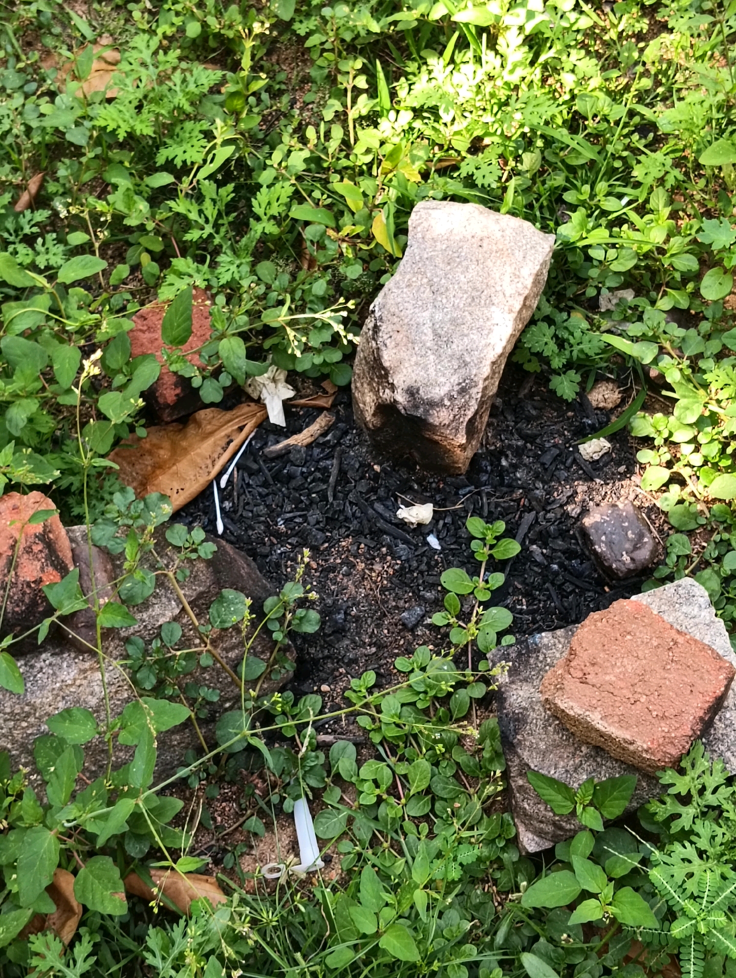 The image depicts a small, outdoor area with a patch of black ash in the center, suggesting a recent fire. The ash is surrounded by green vegetation, including small plants and leaves, with scattered debris. Several bricks, varying in color and condition, are placed around the ash. One larger grey stone sits to the upper right of the ash. A brown, dry leaf is visible near the ash, along with two white cotton swabs. The scene appears to be a neglected corner, possibly in a residential area, with the presence of both natural elements and man-made litter. There are no people or animals visible in the image. The lighting suggests it is daytime, with some areas of bright sunlight filtering through the foliage.