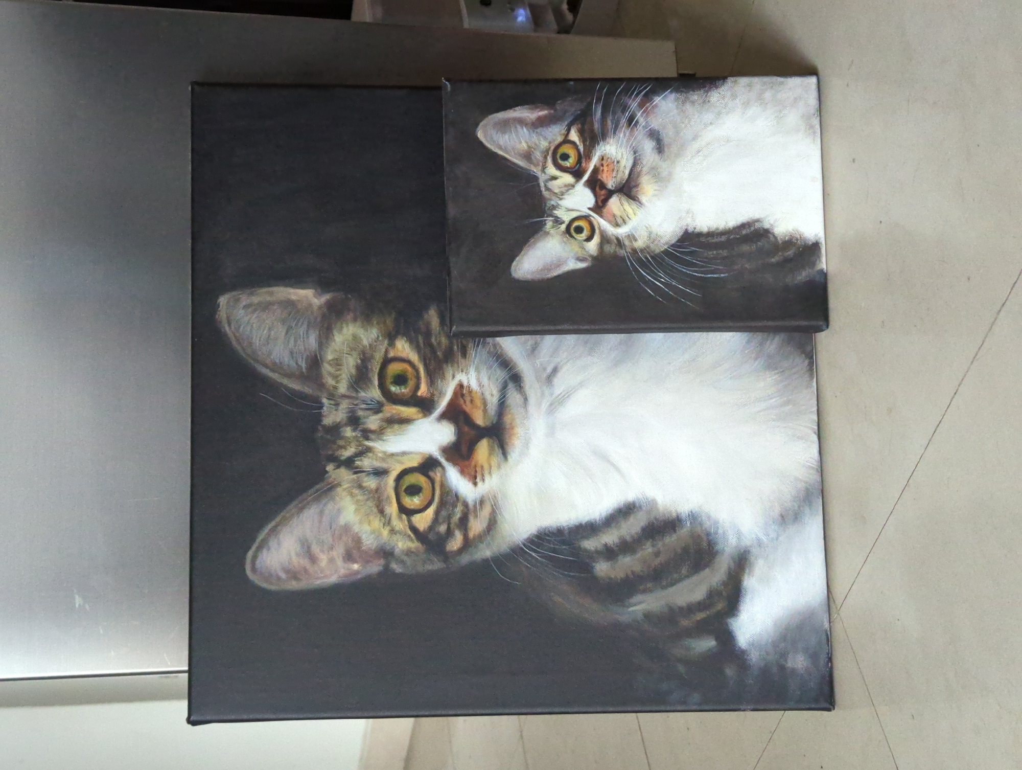 The image shows two canvases depicting a cat. The larger canvas portrays the cat's head and upper body against a dark background. The smaller canvas shows a close-up of the cat's head with a similar dark background. The canvases are displayed on a surface, potentially a table or floor, with a shiny metal object partially visible on the left side. The background includes a light-colored floor or wall. There is no indication of the Shunde District, China. No people, interactions, or actions are depicted.
