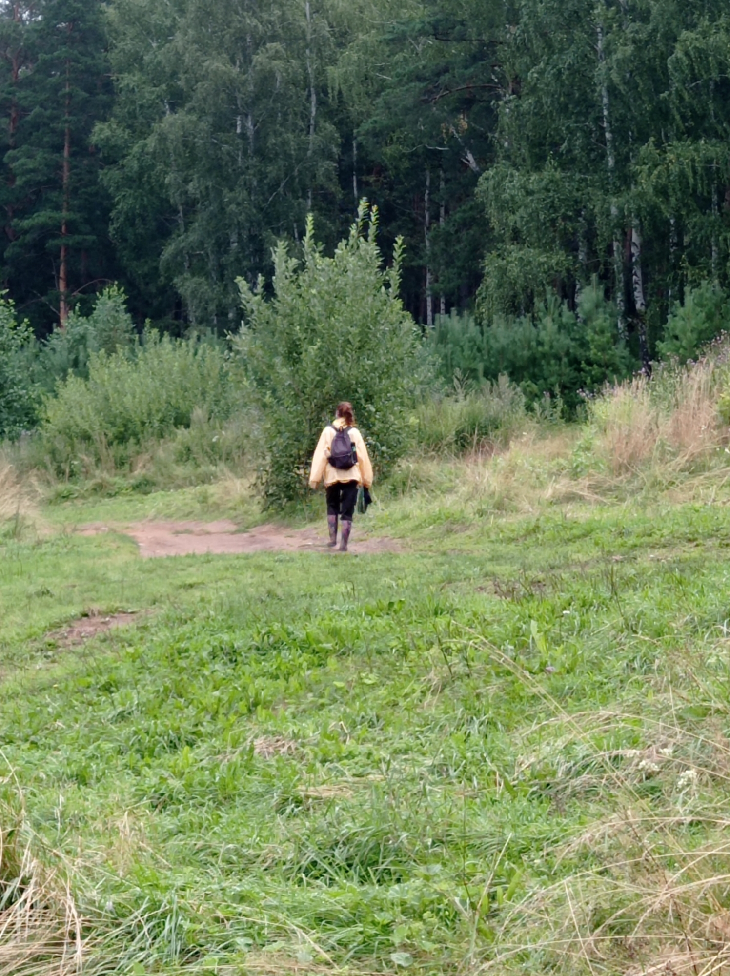 A lone person wearing a yellow jacket and black pants walks away from the camera on a dirt path through a grassy, wooded area. The person has a black backpack on and is wearing dark boots. The background is a dense forest with various types of trees, including tall pines and birch trees. The ground is covered in green grass and some dry, tall grasses. The image appears to be taken in a rural or park setting, not specifically within the city of Degtyarsk, Russia, but could be in the surrounding natural areas.
