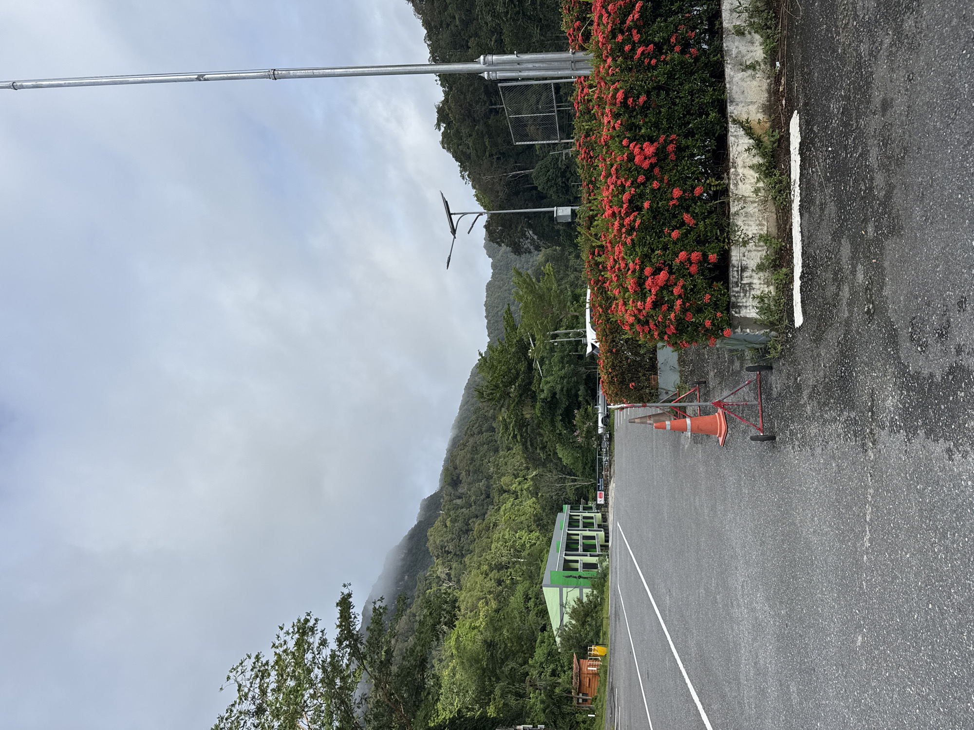 An overcast day in Tambon Wang Prachan, Thailand, presents a view of a paved parking lot with a white lane marking. To the right, a vibrant hedge of red ixora flowers borders a concrete planter. Beyond the flowers, a tall metal pole with a solar-powered street lamp stands, accompanied by a wire mesh fence. In the background, a lush green forest covers a misty mountain slope. A low-rise, green building with a grey roof is visible to the left of the parking lot, next to a small wooden structure and a yellow utility box. A white truck is parked in the distance. Orange traffic cones and a metal frame with wheels are situated near the edge of the parking lot.