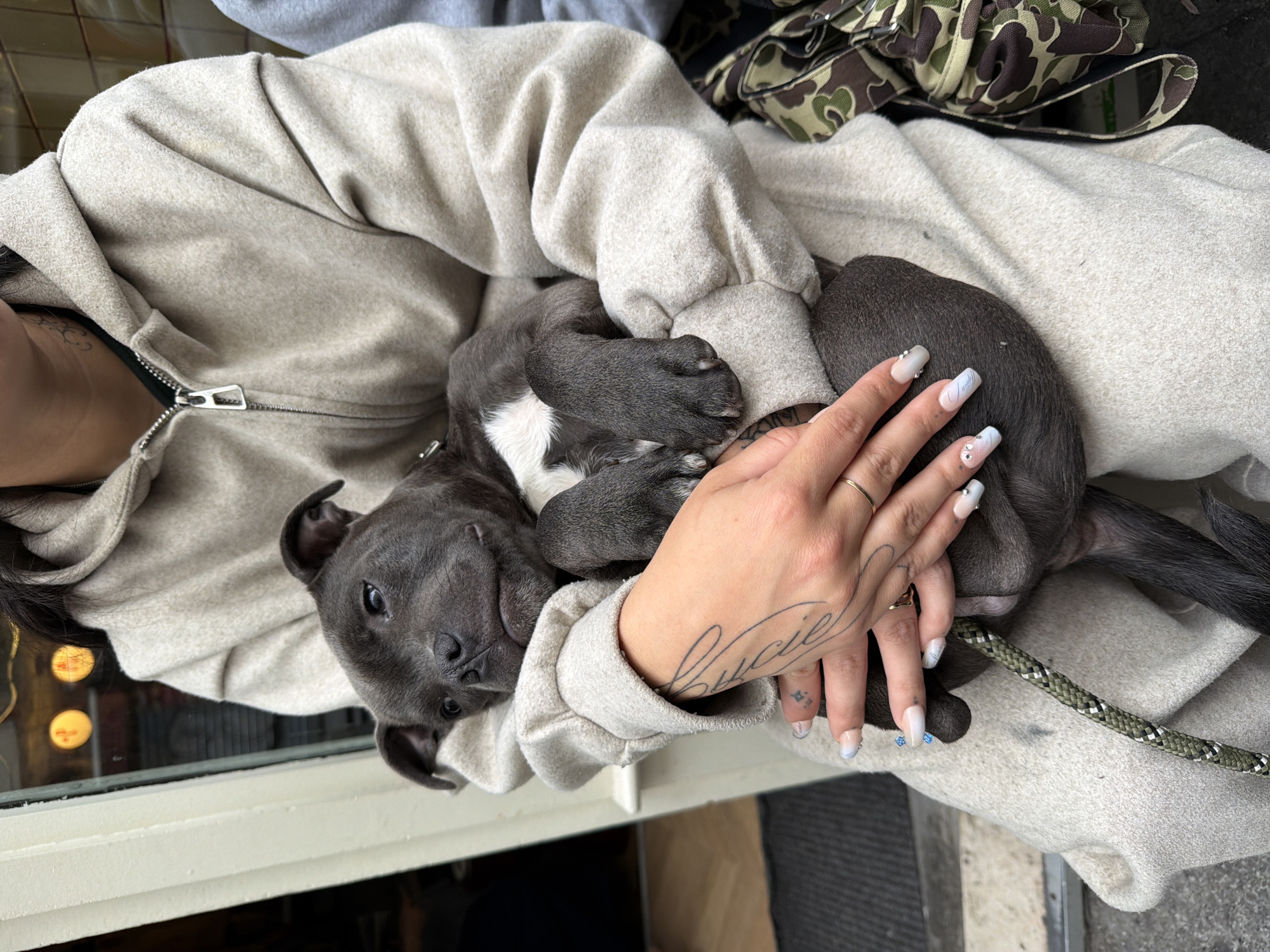 A person is holding a gray puppy with a white chest patch. The person wears a tan-colored hooded sweatshirt with a zipper. The person has a tattoo on their left hand and wears rings on their fingers. The puppy is nestled in the person's arms. A leash is visible near the puppy. In the background, a glimpse of a camouflage bag is seen. The scene appears to be indoors, possibly near a window, as indicated by the reflection in the window. The location of the image could be Paris, France, given some details.