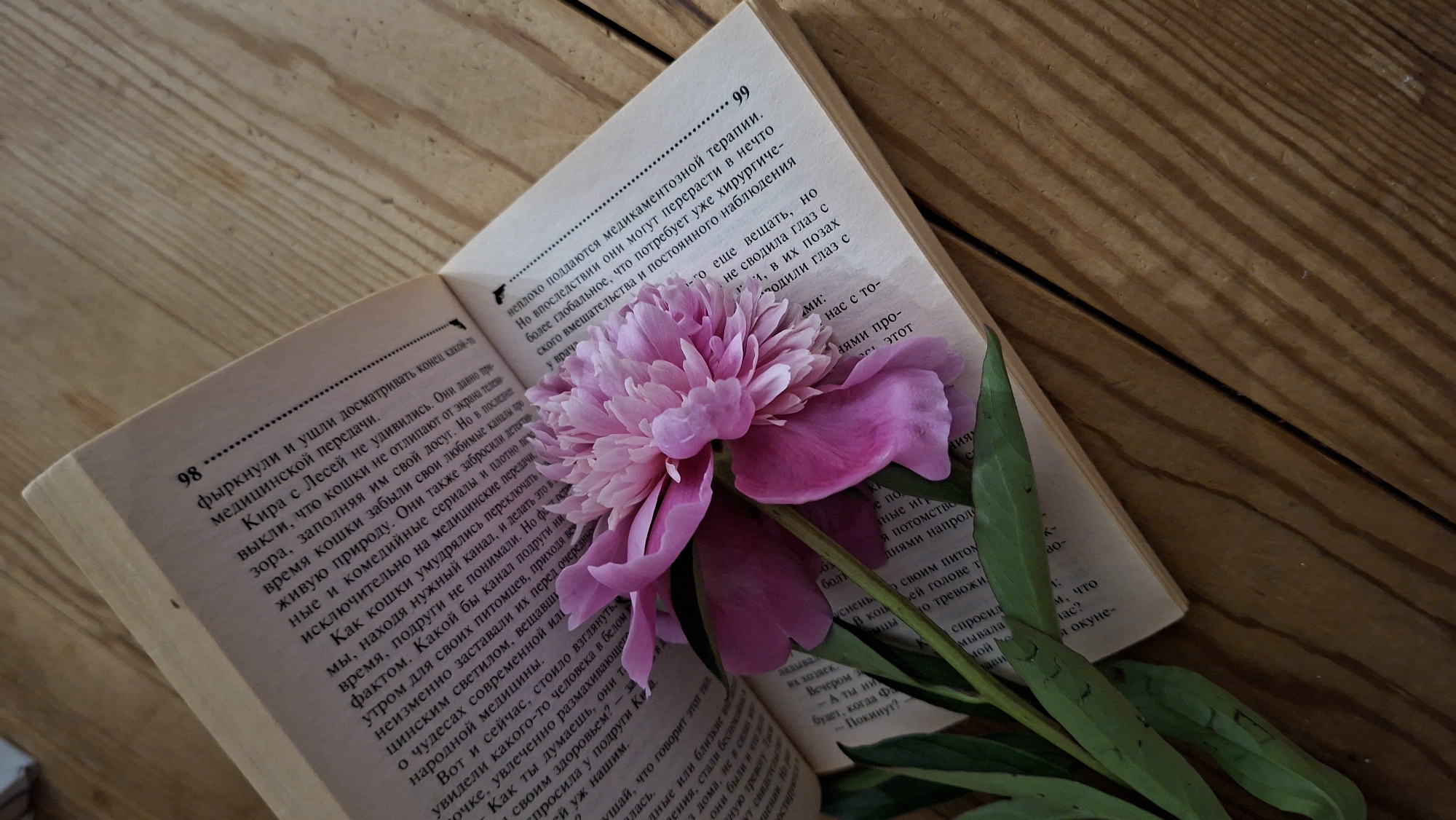 The image shows an open book with a pink peony flower resting on its pages. The book is placed on a wooden surface, possibly a table or desk, with visible wood grain. The book's pages are filled with text in Russian. The left page is partially visible, showing the number "98" at the top. The right page also has text and the number "99" at the top. The flower is in full bloom and is positioned across both open pages, with its stem and leaves extending downwards. The lighting suggests it's daytime, and the scene is likely indoors given the nature of the objects. There are no people or animals present in the image. The location of Chaikovsky, Russia, is not visually represented in the image itself, and therefore cannot be determined from the provided photograph.